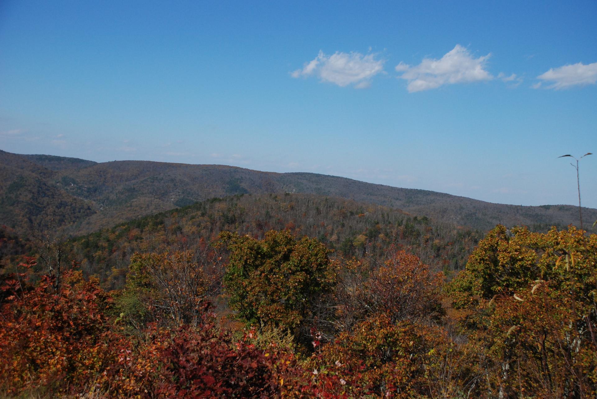 Vast mountain landscape with autumn trees under a clear blue sky.