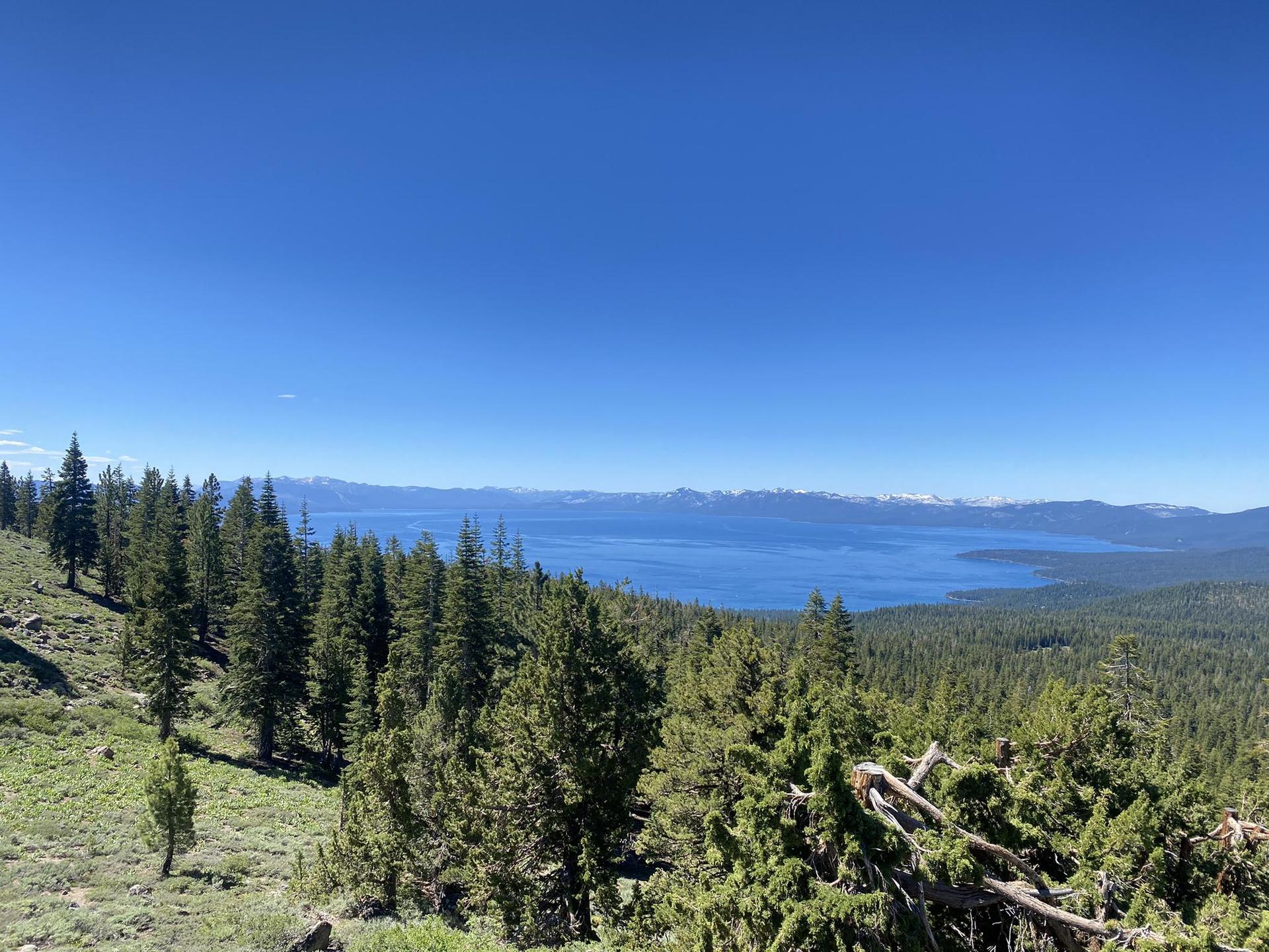 Panoramic view of a large blue lake surrounded by green pine forests.