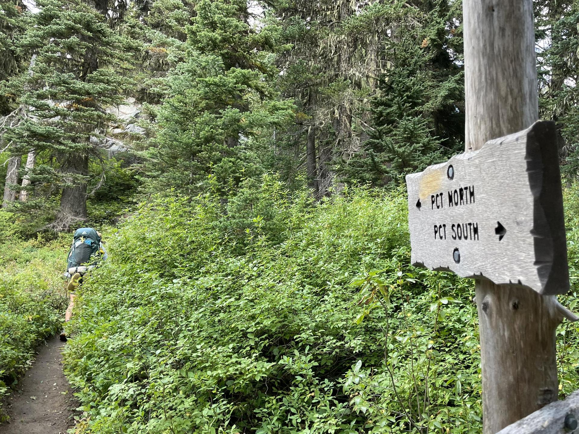A hiker walks past a wooden trail sign in a lush green forest.