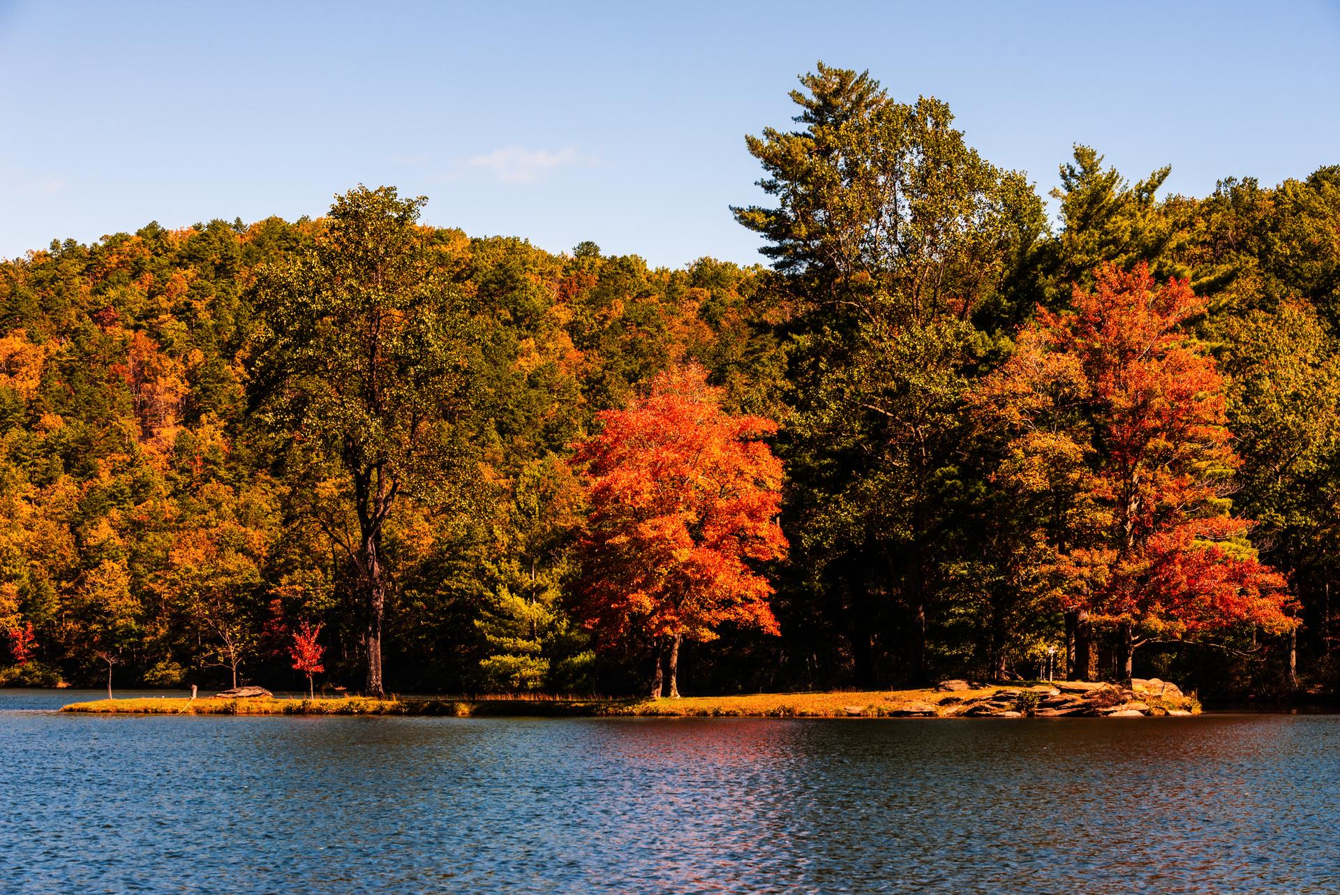 A serene lake reflecting vibrant autumn trees on the shoreline under a clear sky.