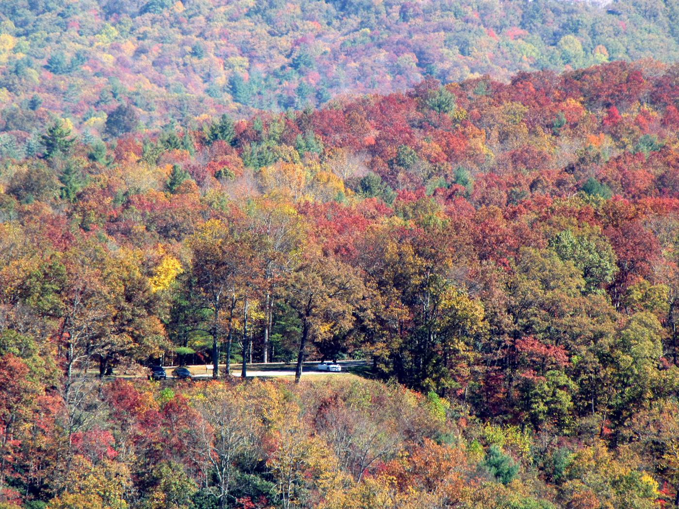 Vibrant autumn forest covering rolling hills with a few cars visible.