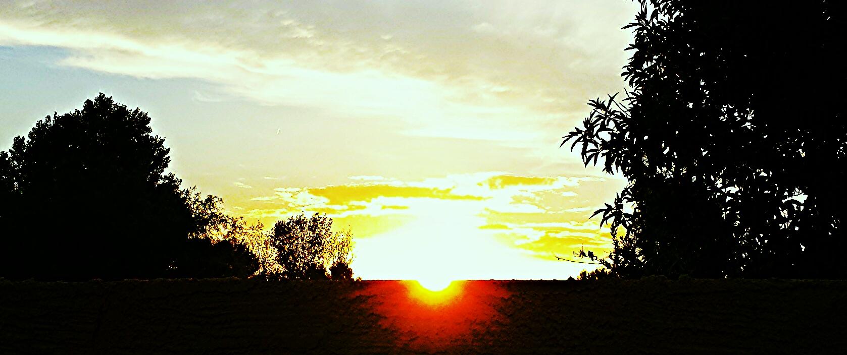 Golden sunset over a dark horizon with silhouetted trees against a bright sky.