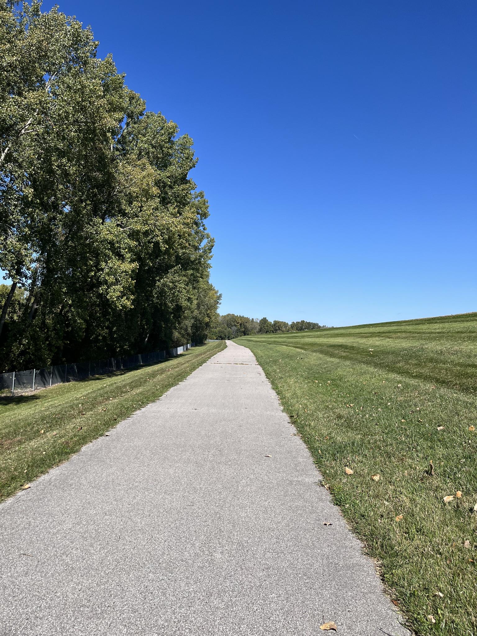 Paved path winding through green grass and trees under a clear blue sky.