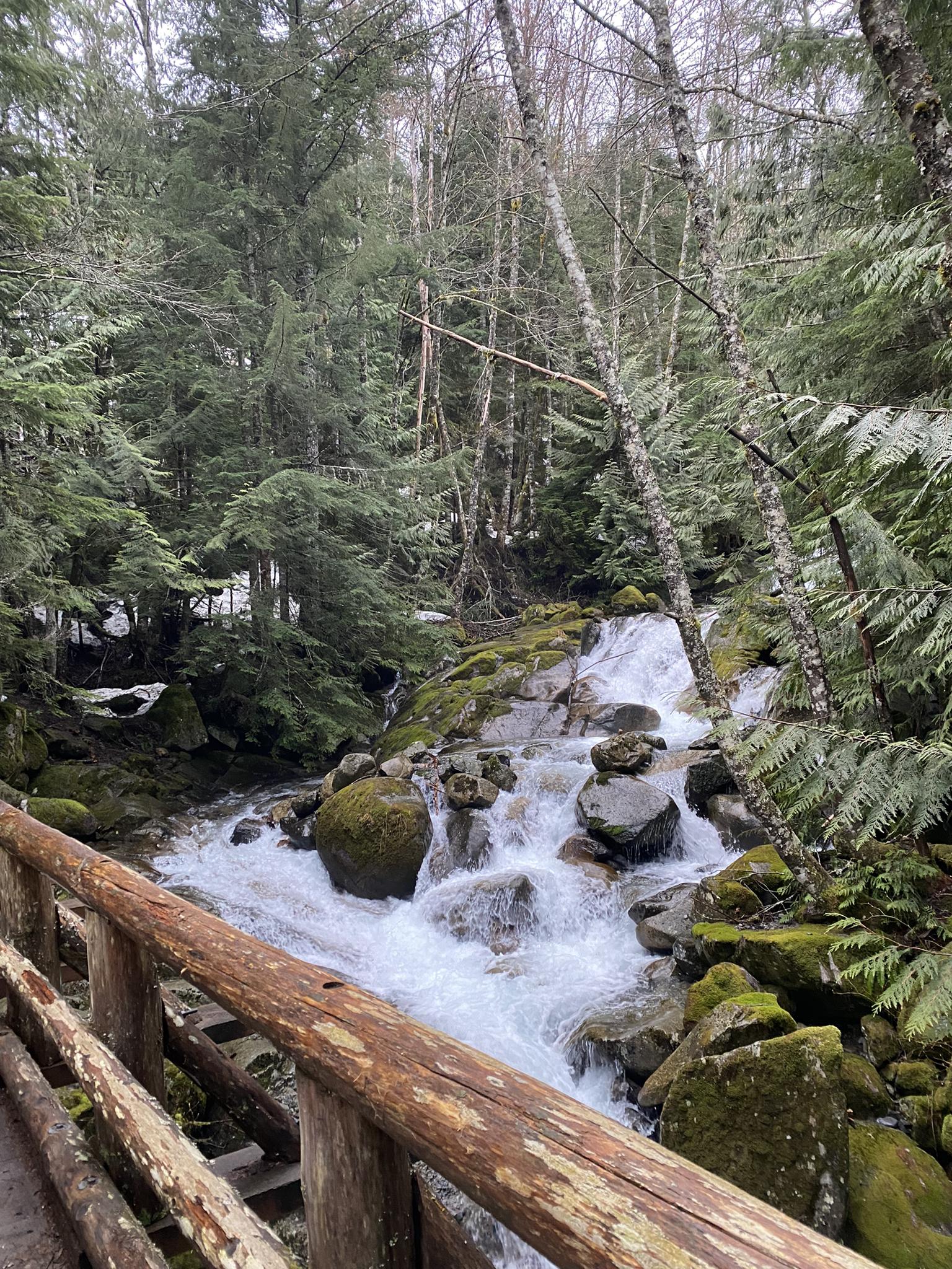Rushing waterfall over mossy rocks in a forest, viewed from a wooden bridge.