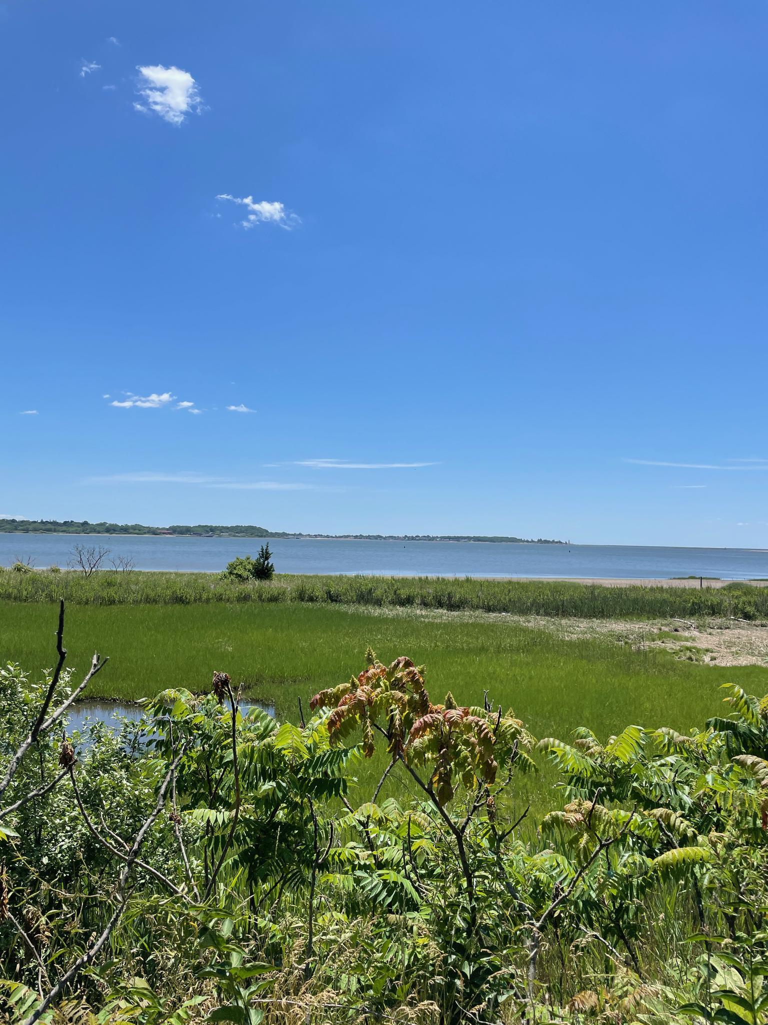 Sunny coastal view with green marshland, calm water, and blue sky.