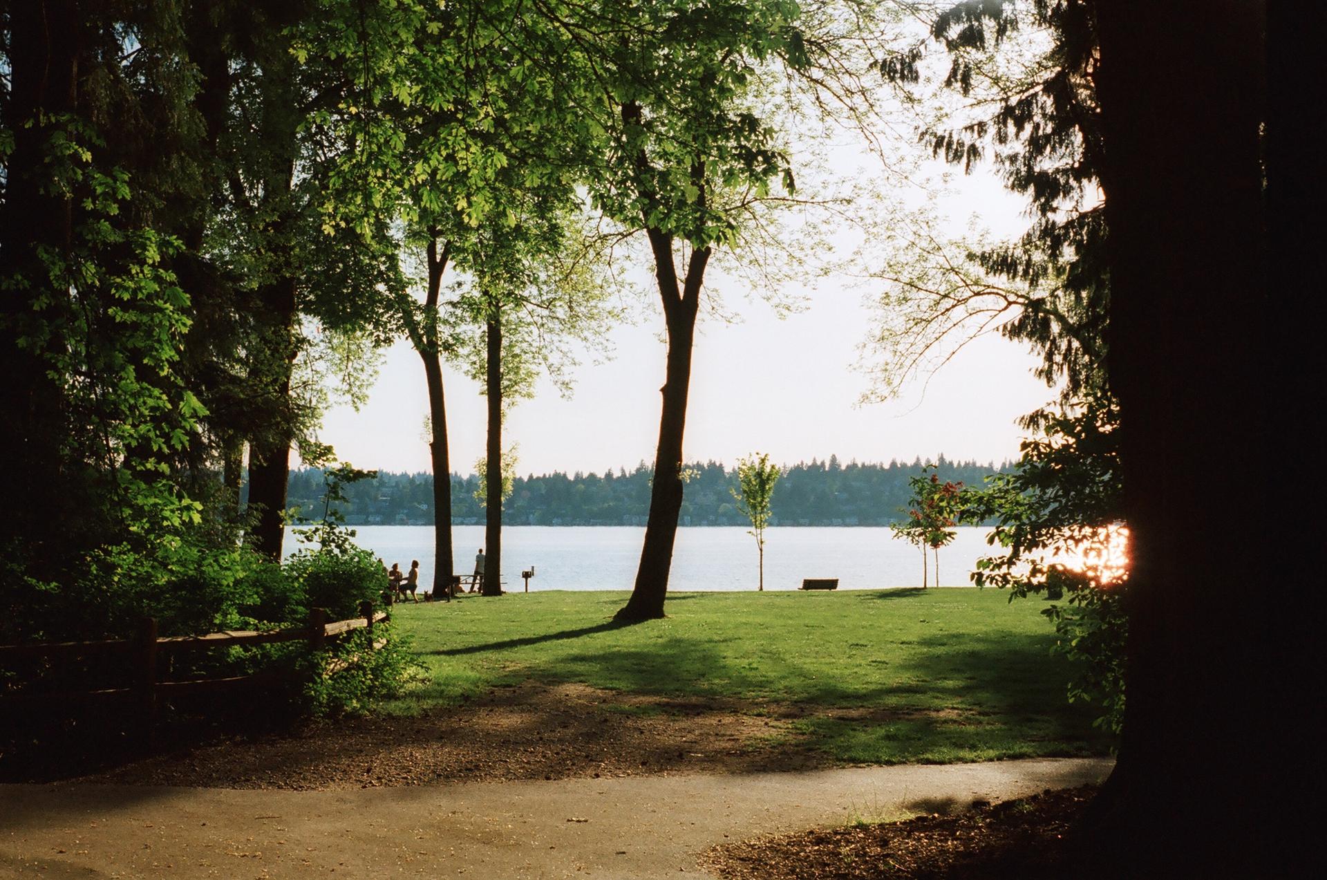 Sunlit lake view through trees, with people relaxing on the grassy shore.