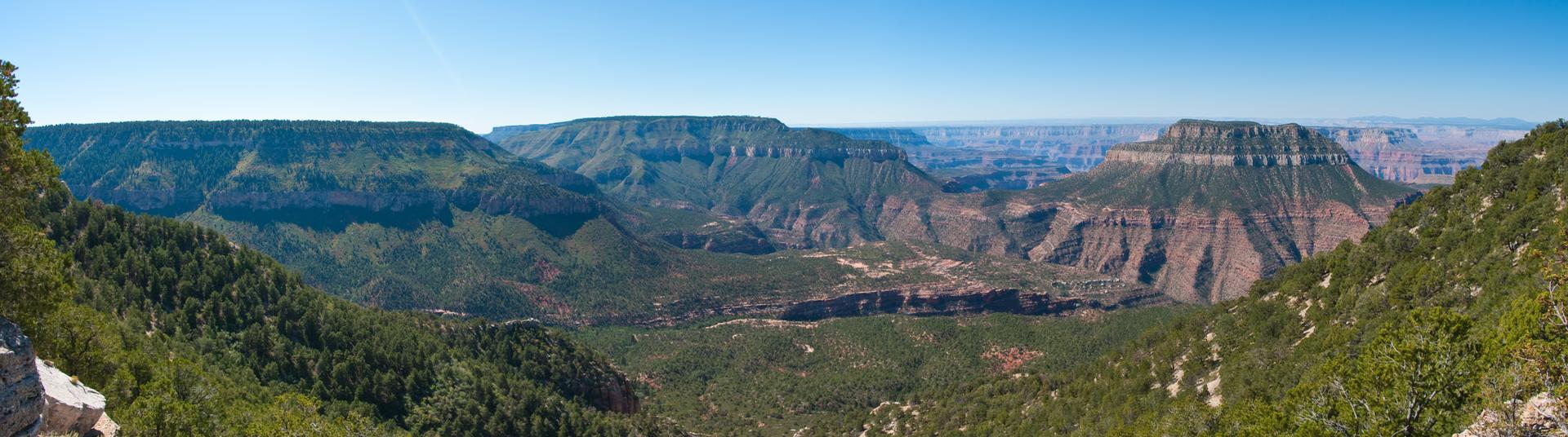 Panoramic view of a wide, forested canyon with majestic flat-topped mountains.