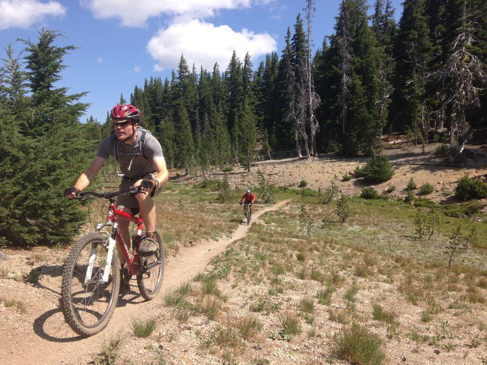 Two mountain bikers ride a dirt trail through a sparse forest.