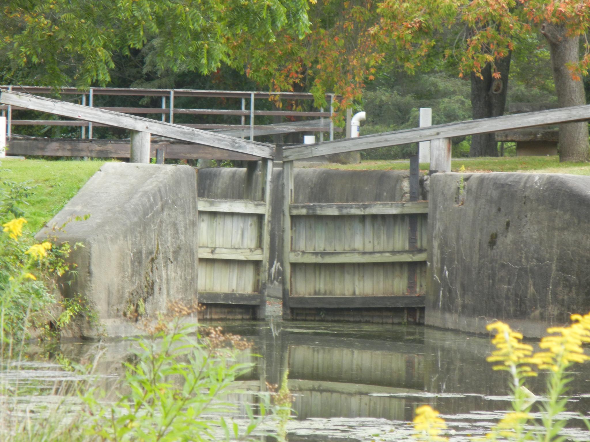 Concrete and wooden canal lock gates with water, green trees, and yellow flowers.
