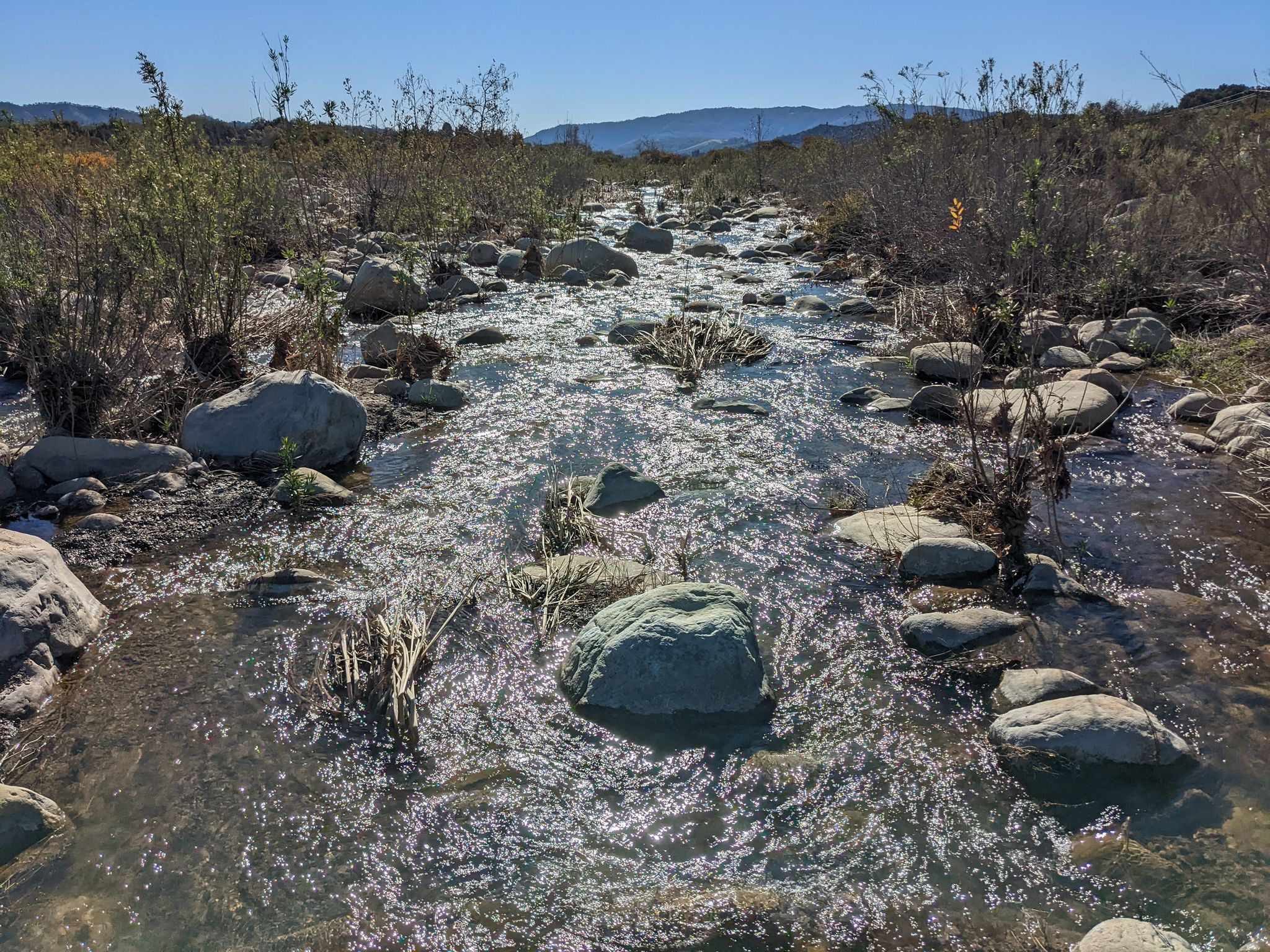 Clear stream flowing over rocks, surrounded by sparse vegetation on a sunny day. - Wills and Rice Canyon Loop