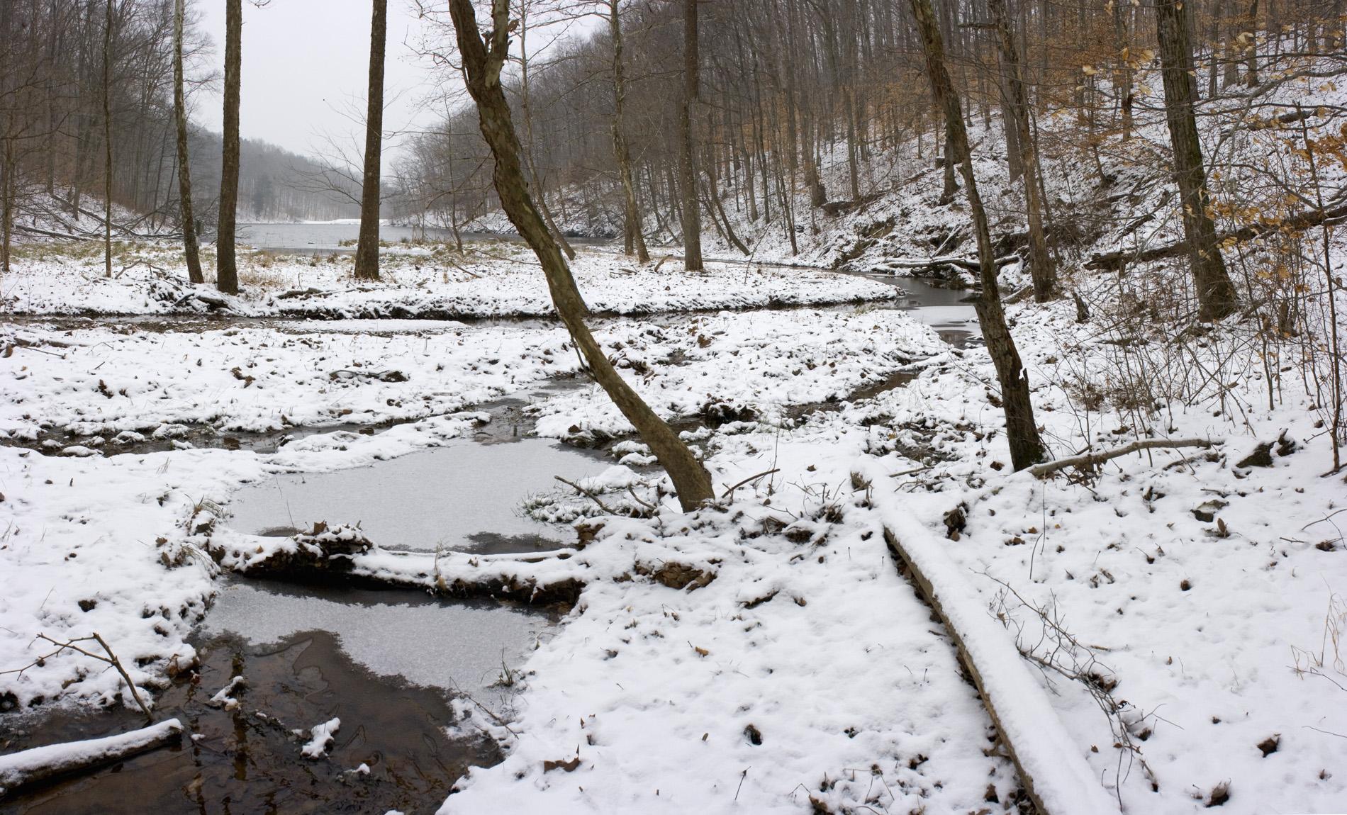A snowy winter forest with a partially frozen stream under an overcast sky.