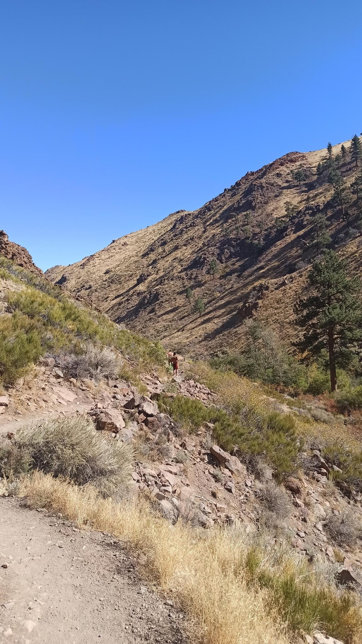 Two people hike on a sunny dirt trail along a steep, brushy mountainside.