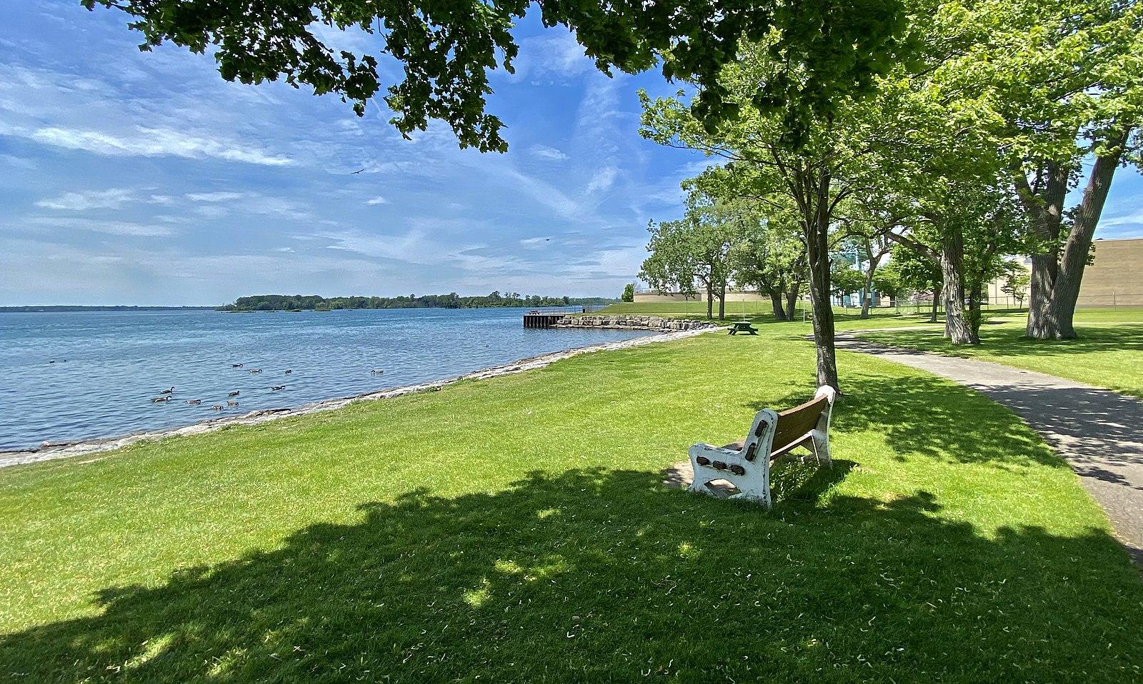 Sunny park with green grass, trees, and a bench by calm blue water.