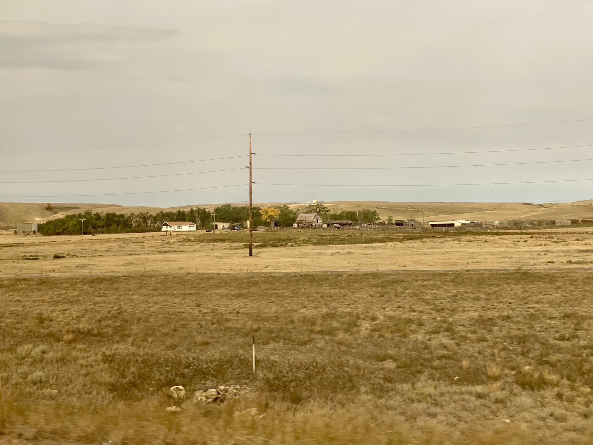 Expansive dry grass field with distant buildings under an overcast sky.