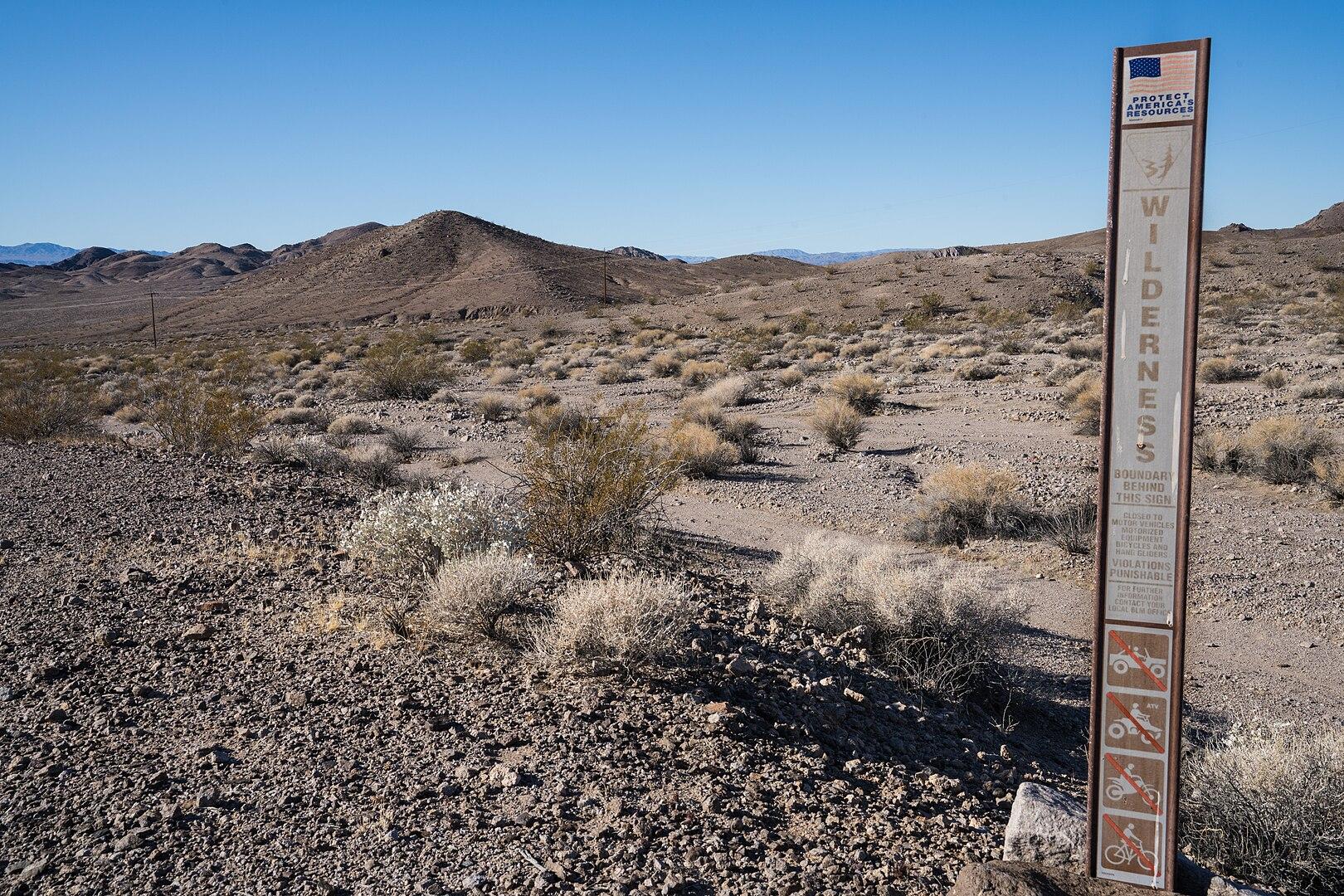 A tall wilderness sign stands in a vast, sunny desert landscape with sparse vegetation.