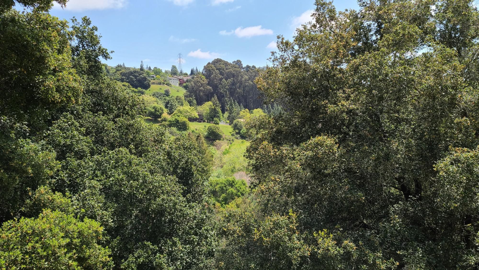 Expansive view of a lush, green valley with dense trees under a bright sky. - Cull Canyon Bike Route