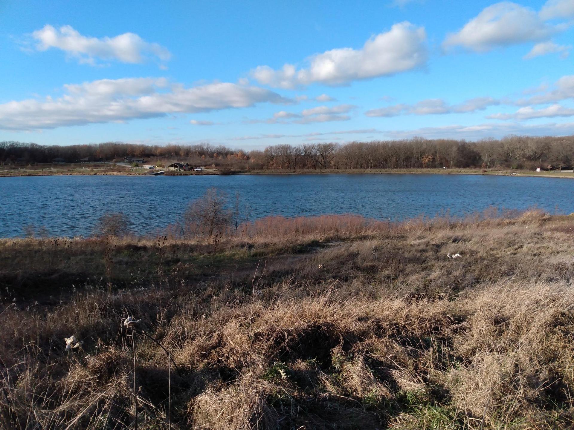 A wide lake with distant trees and dry grass in the foreground.