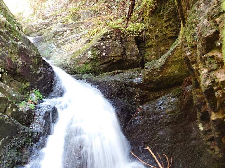 Cascade de Gomot Wanderungen und Rundwege komoot