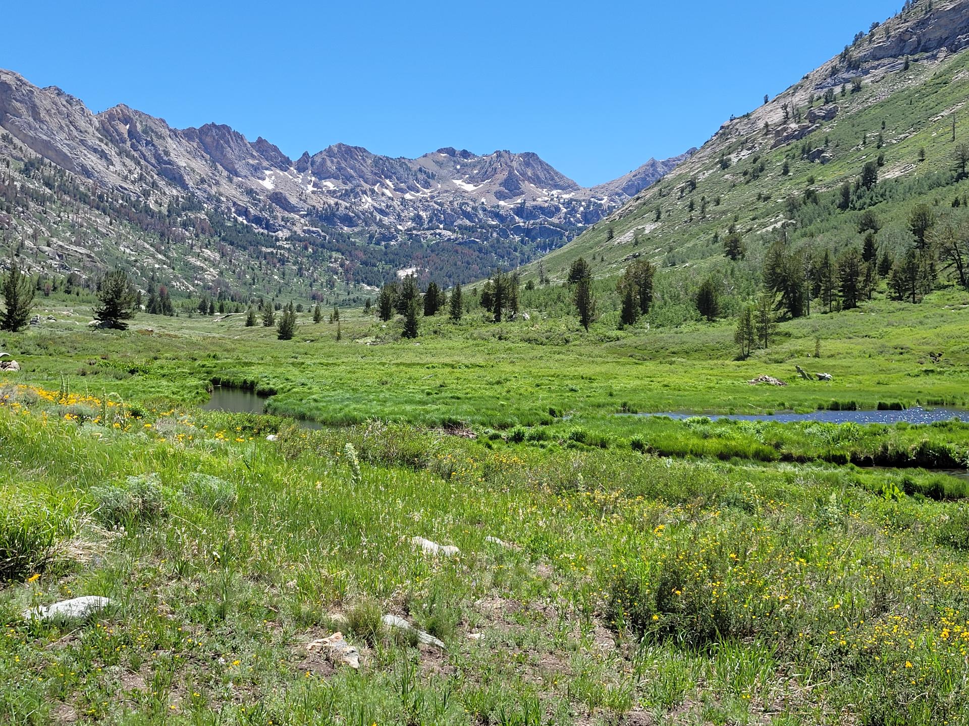 Vast green meadow with stream, flanked by forested mountains under bright sun.