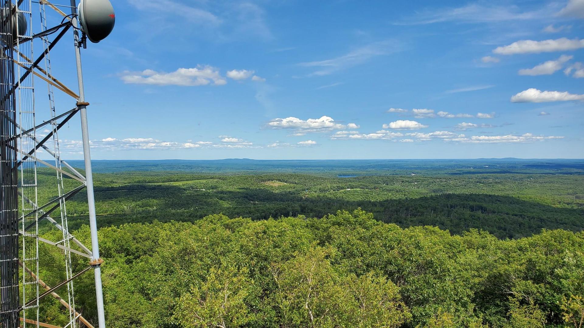 Metal tower overlooks a vast green forest under a bright blue sky.