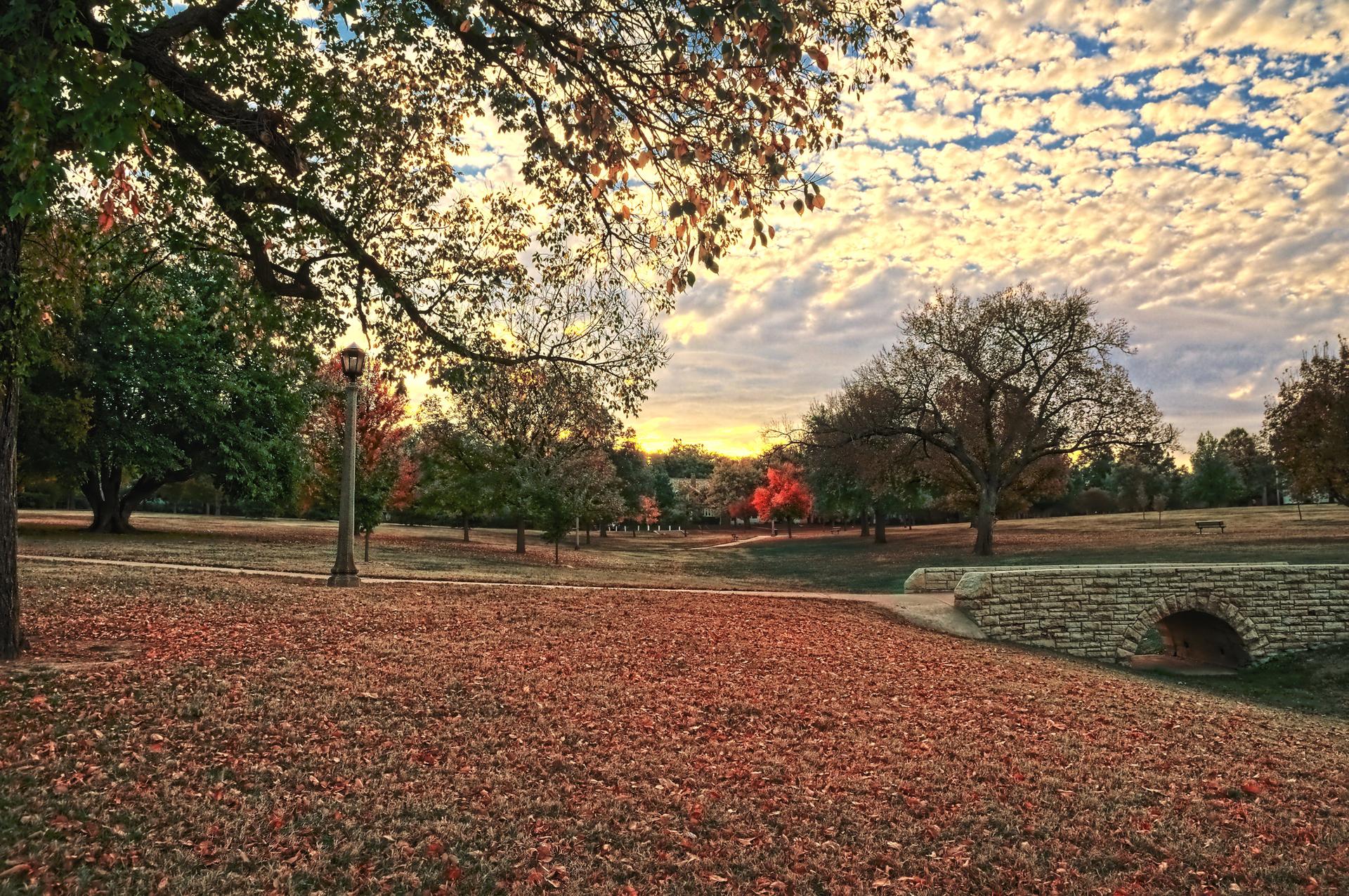 Autumn park scene with fallen leaves, trees, and a stone bridge at sunset.