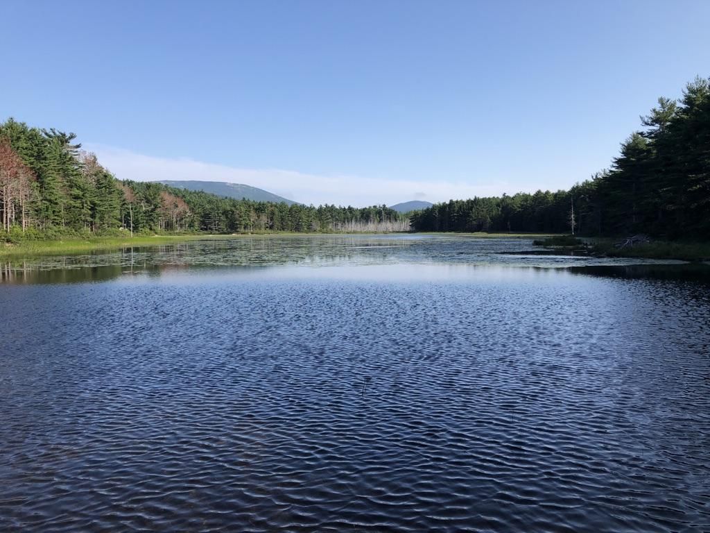 Calm lake reflecting a clear blue sky, surrounded by lush green forests. - Breakneck Road Trail