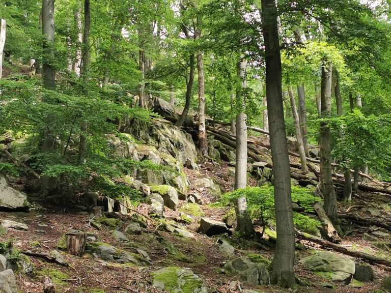 Alter Steinweg Wanderungen und Rundwege komoot