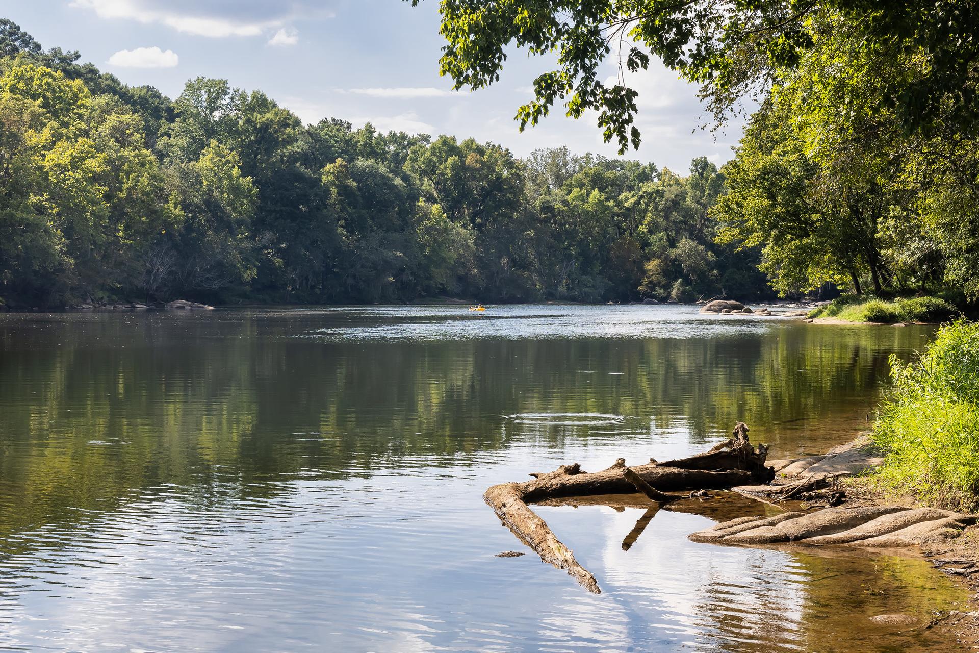 Sunlight illuminates a calm river with forested banks and a fallen log.
