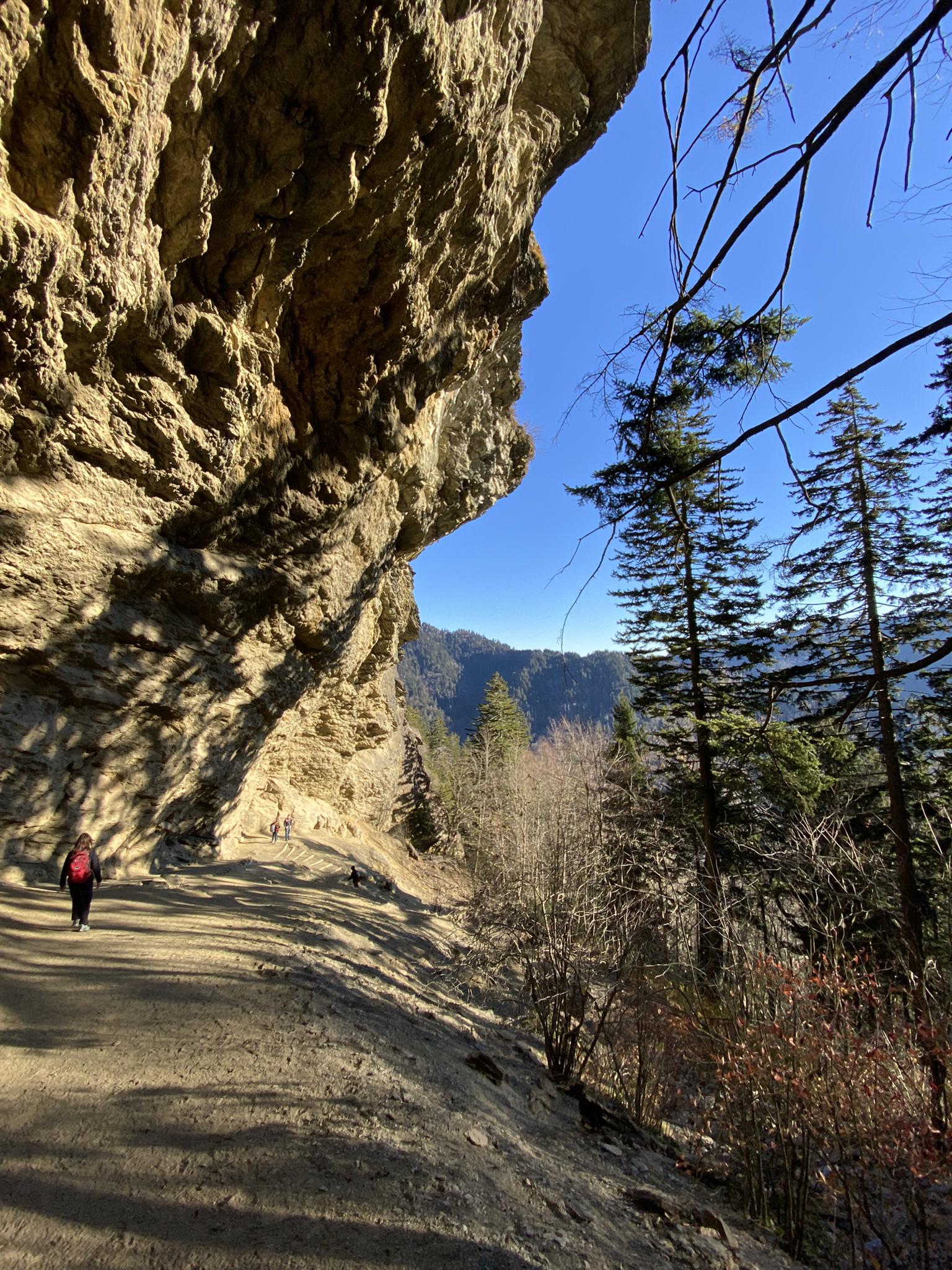 A hiker on a sunlit trail next to a towering rock face.