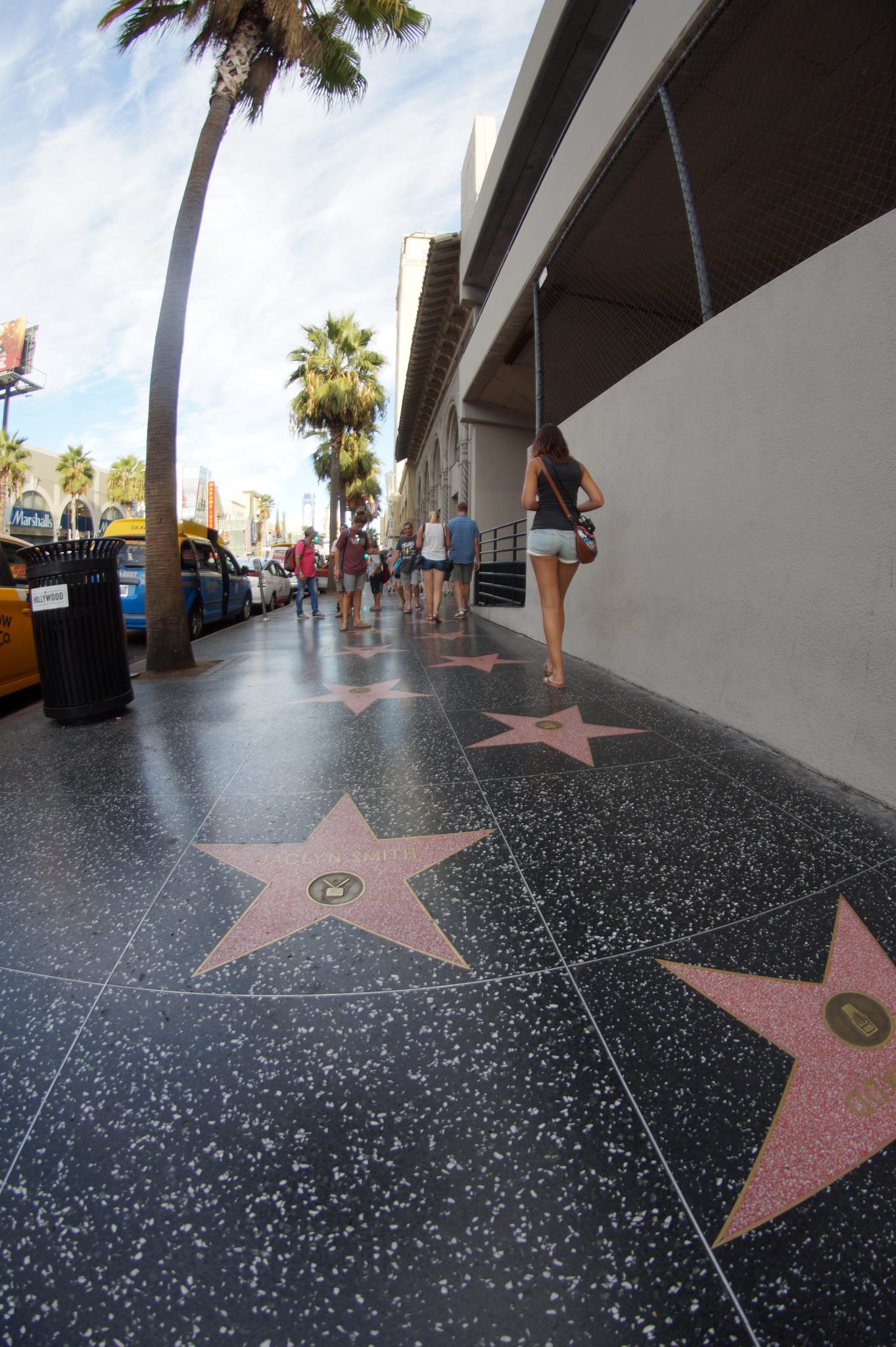 People walk on a star-studded sidewalk lined with palm trees and buildings.