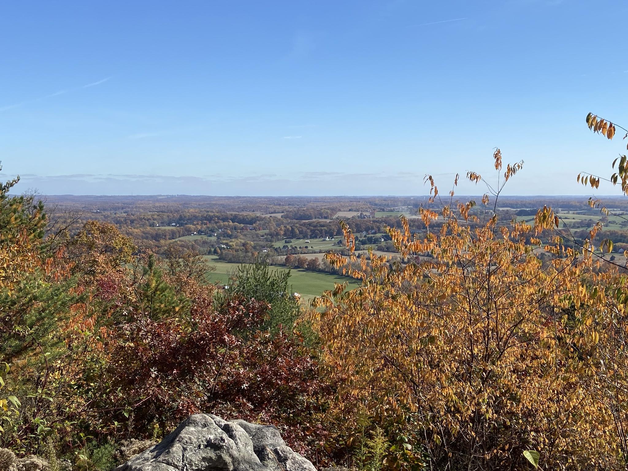 Autumn forest overlook with colorful trees, distant fields, and clear blue sky.