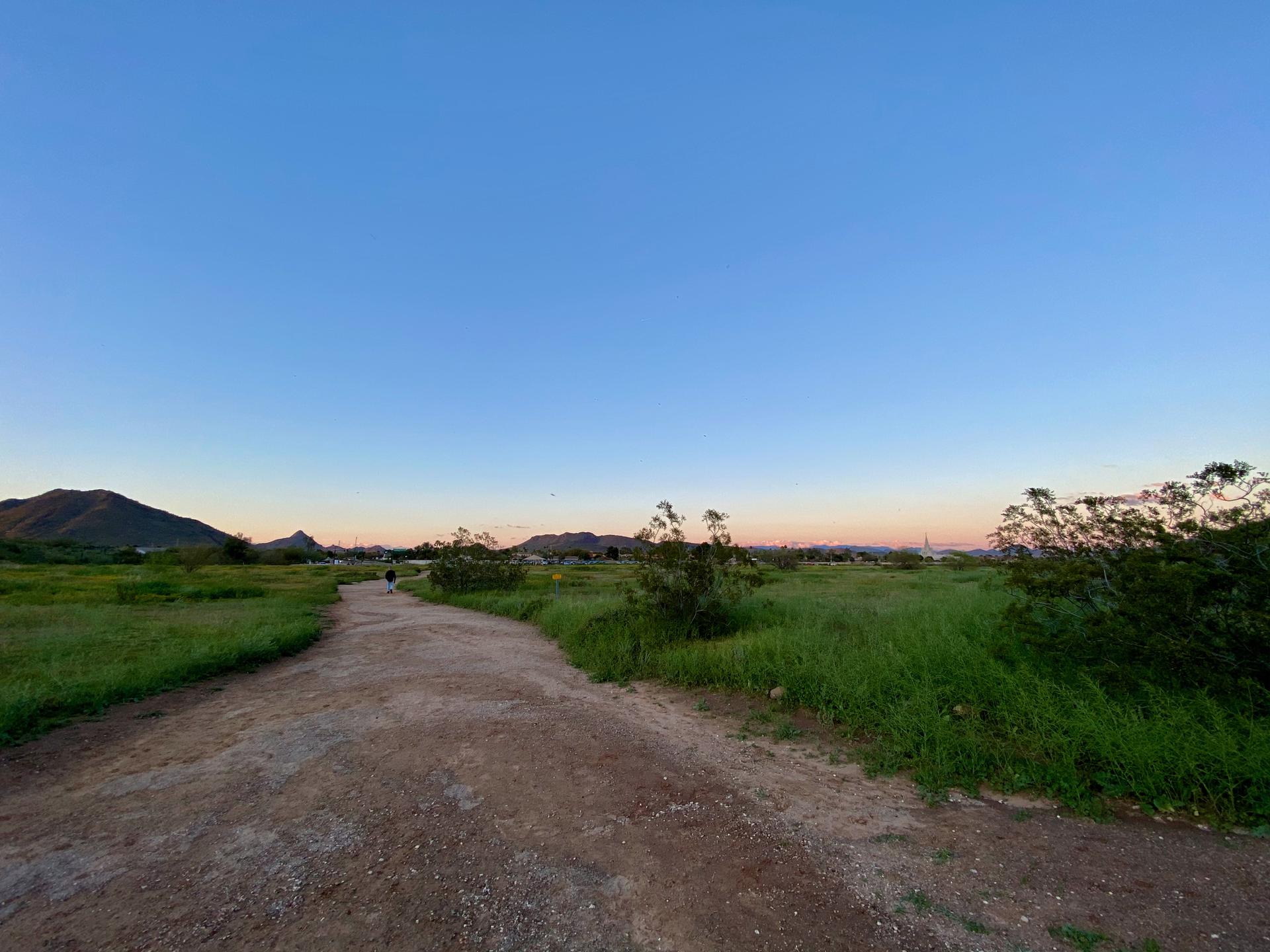 Dirt path winding through green fields towards distant mountains at dusk.