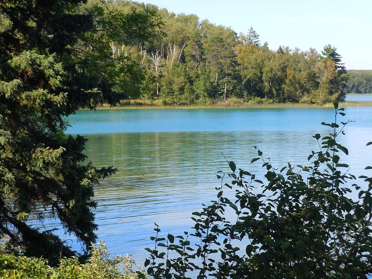 Clear blue lake surrounded by lush green trees on a bright day.