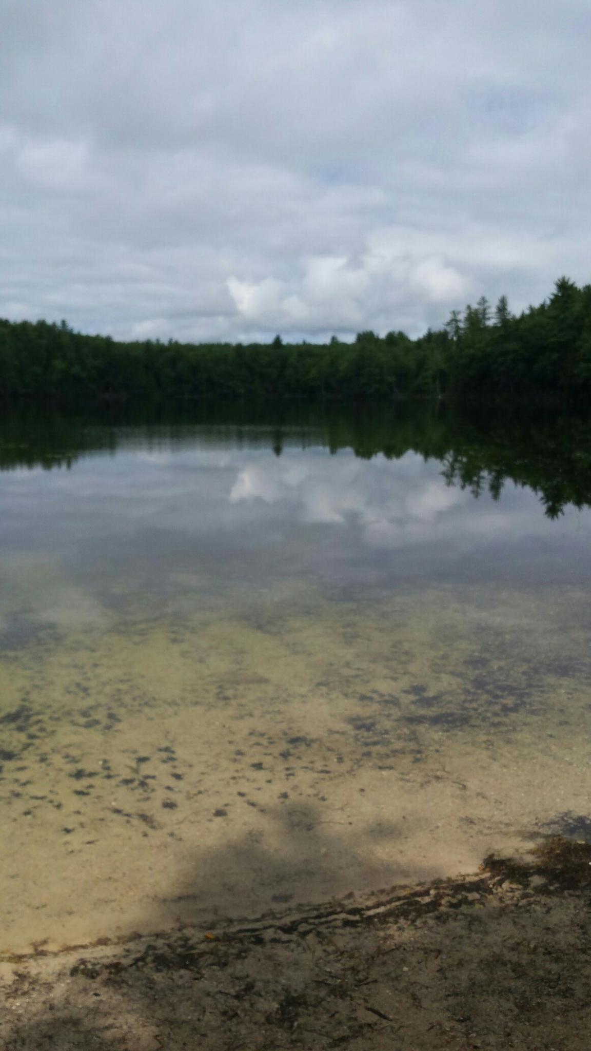 Overcast sky above a calm lake reflecting trees, with a visible sandy bottom.