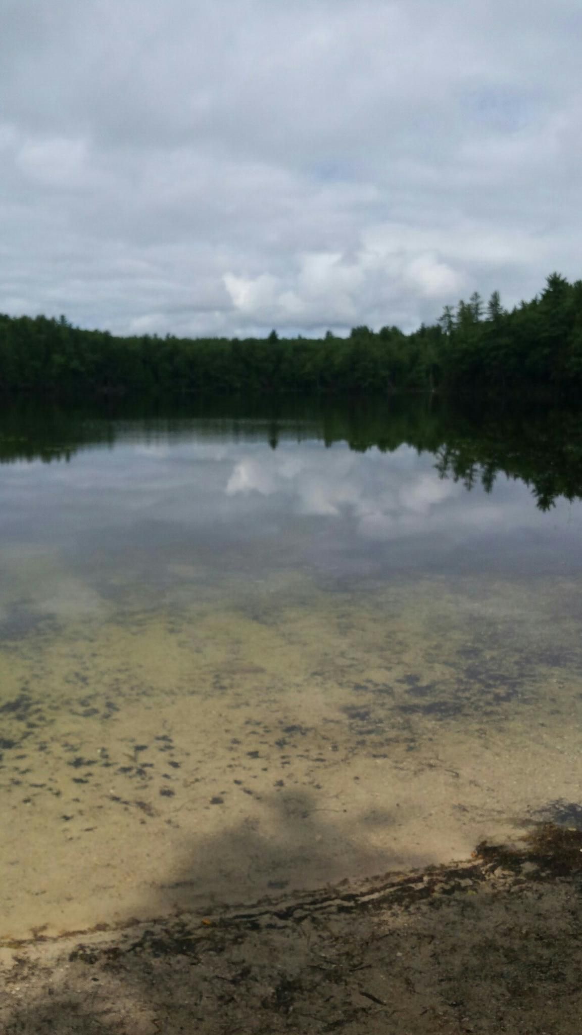 Overcast sky above a calm lake reflecting trees, with a visible sandy bottom. - Knight’s Pond Loop