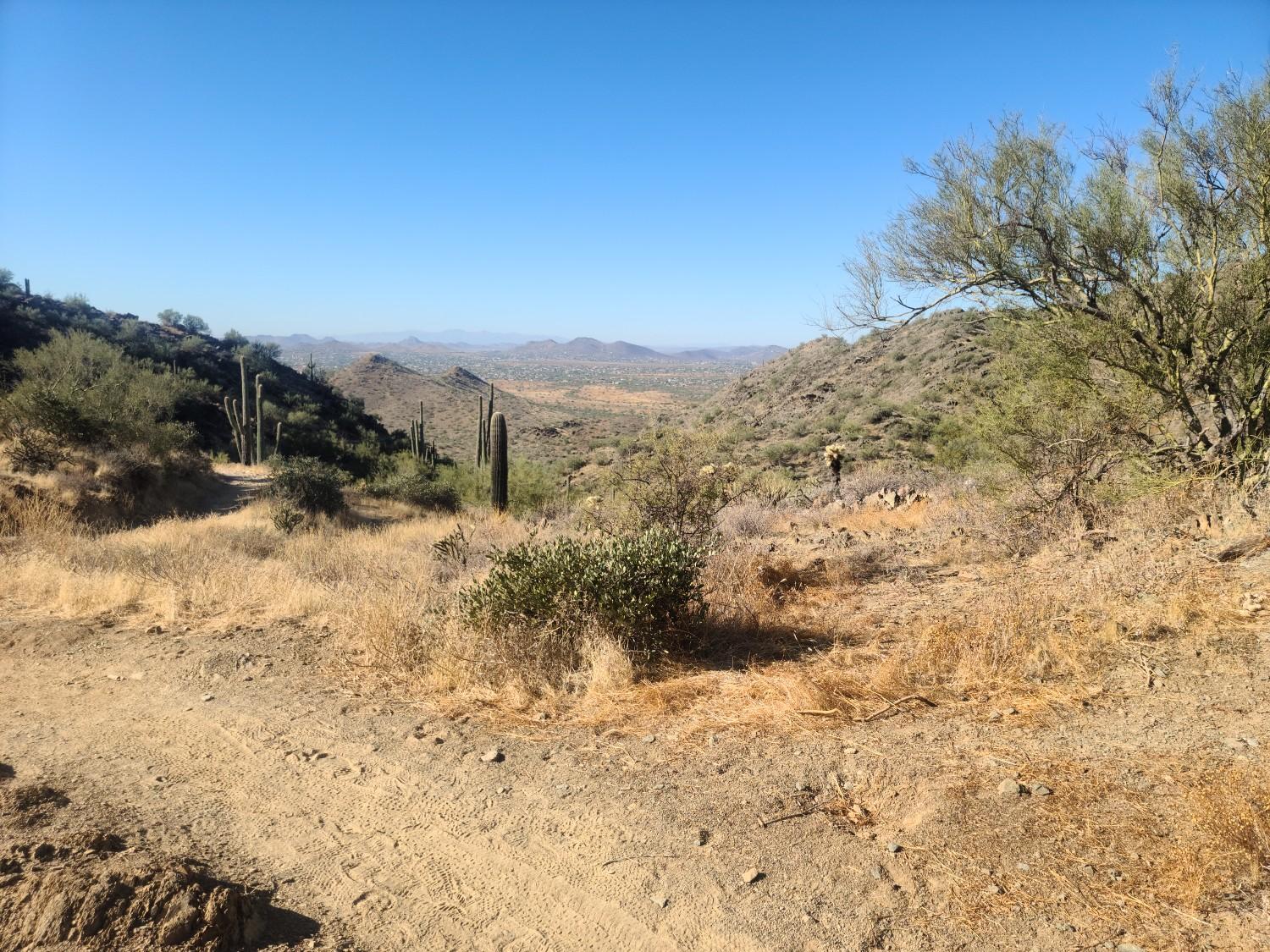 Dry desert landscape with a dirt path, saguaro cacti, and distant mountains.
