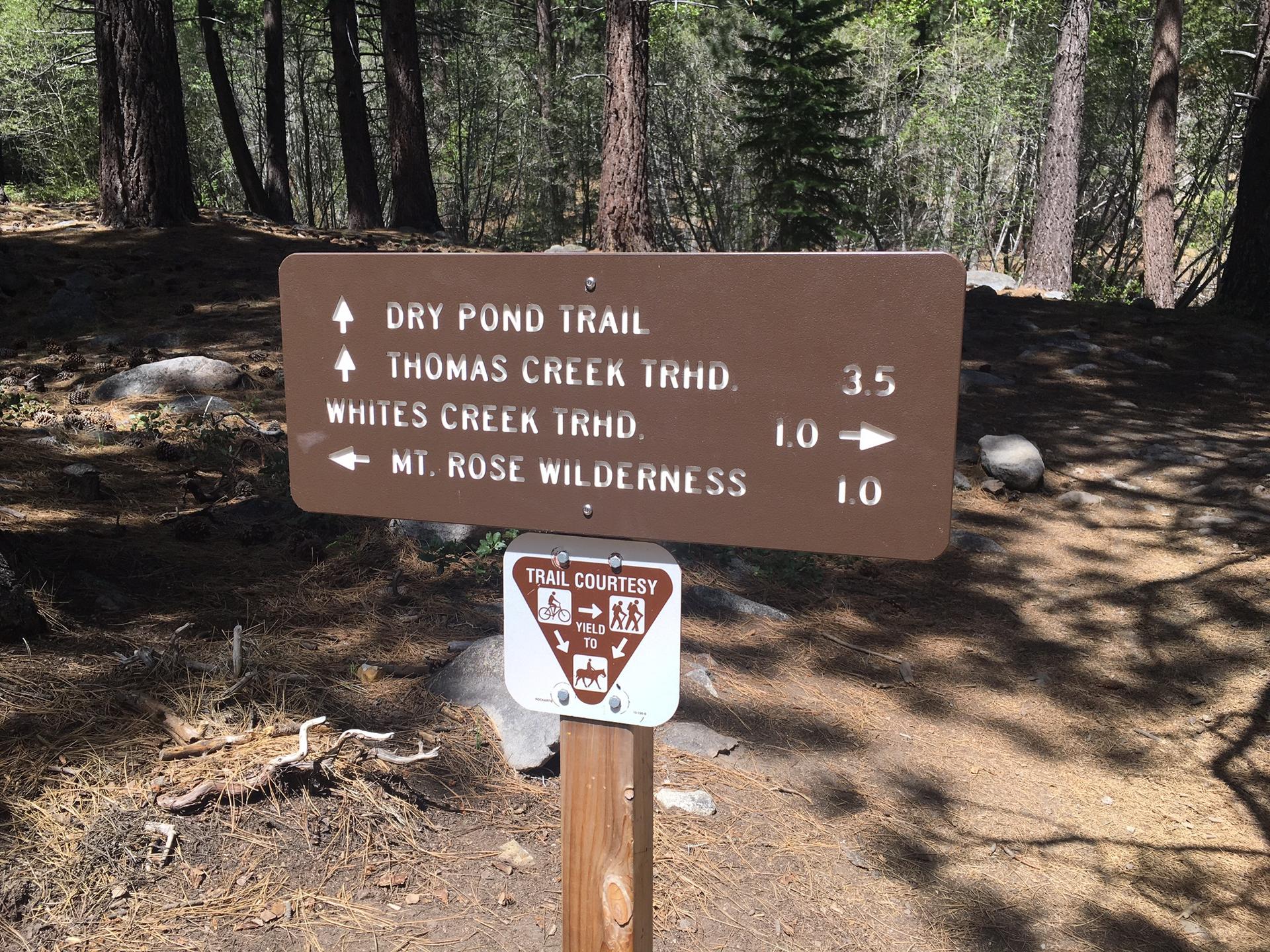 Brown trail sign in a sunlit forest, indicating various paths.