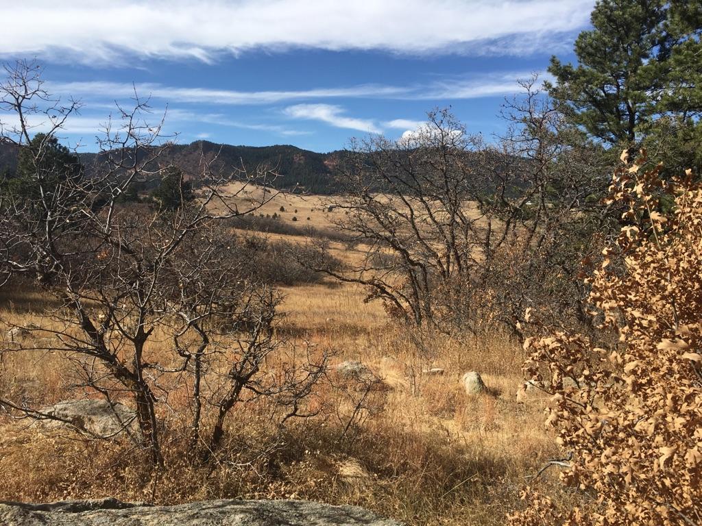 Dry trees and golden fields under a partly cloudy sky.