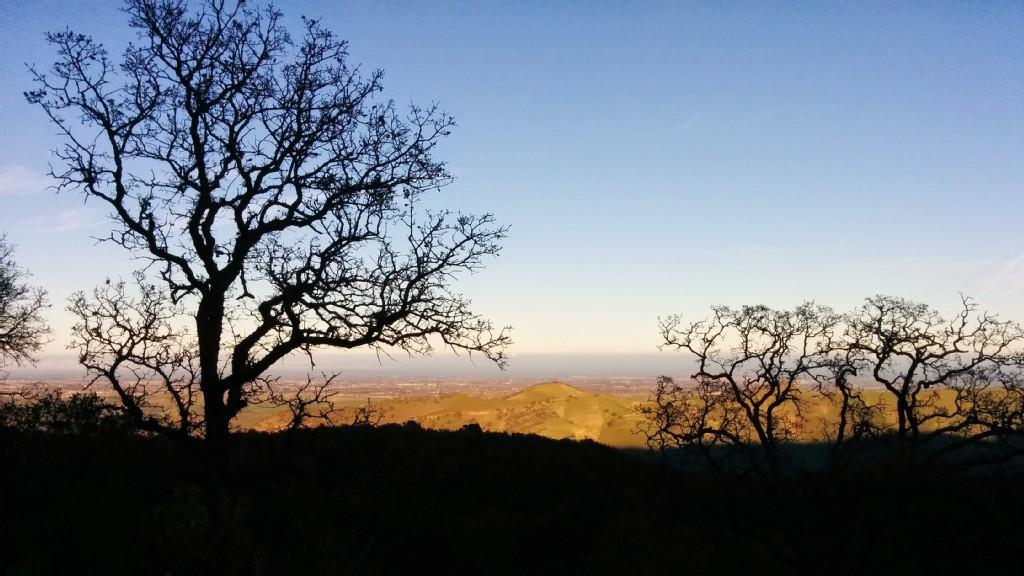 Silhouetted bare trees on a ridge against a warm, fading sky at dusk.