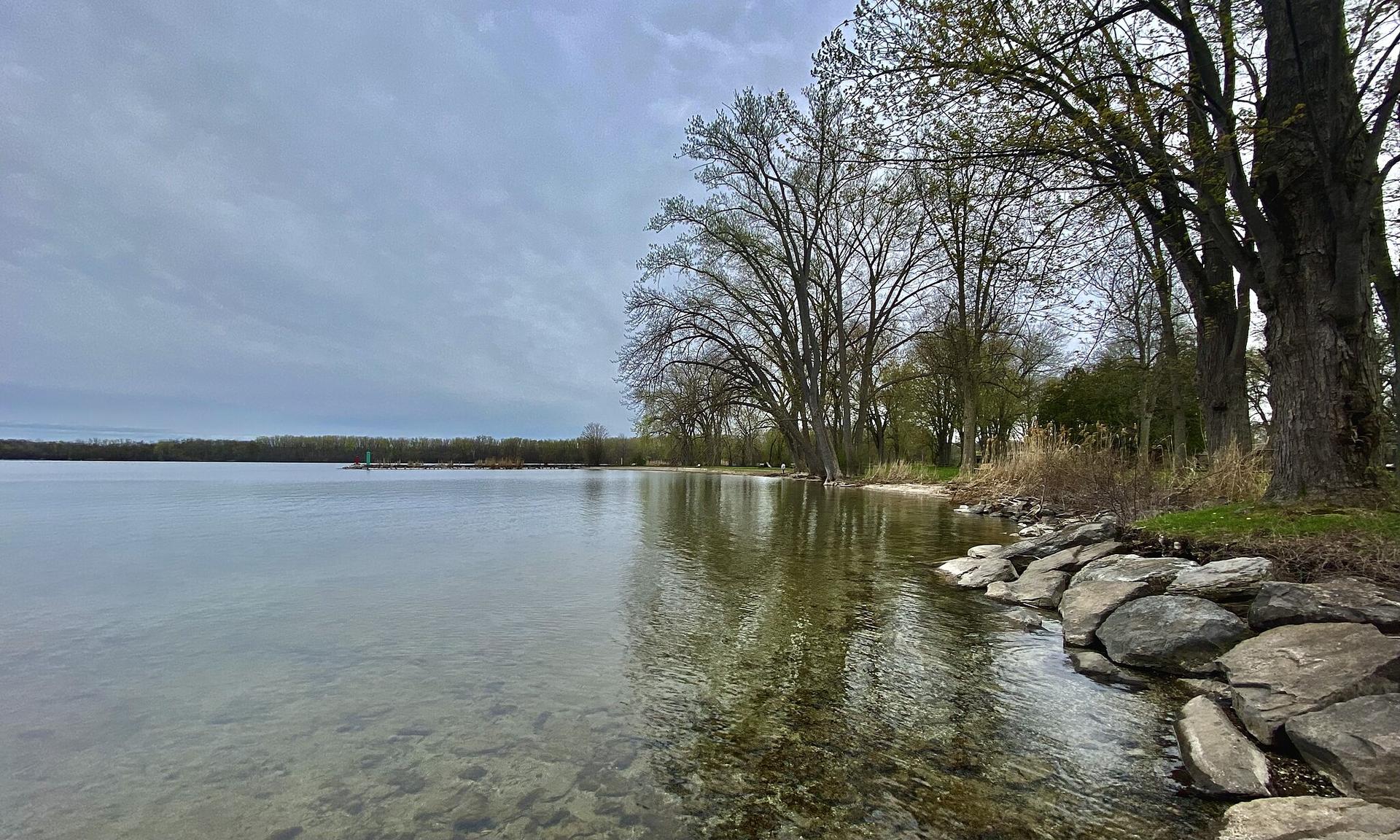Clear lake water lapping against a rocky shore with bare trees.