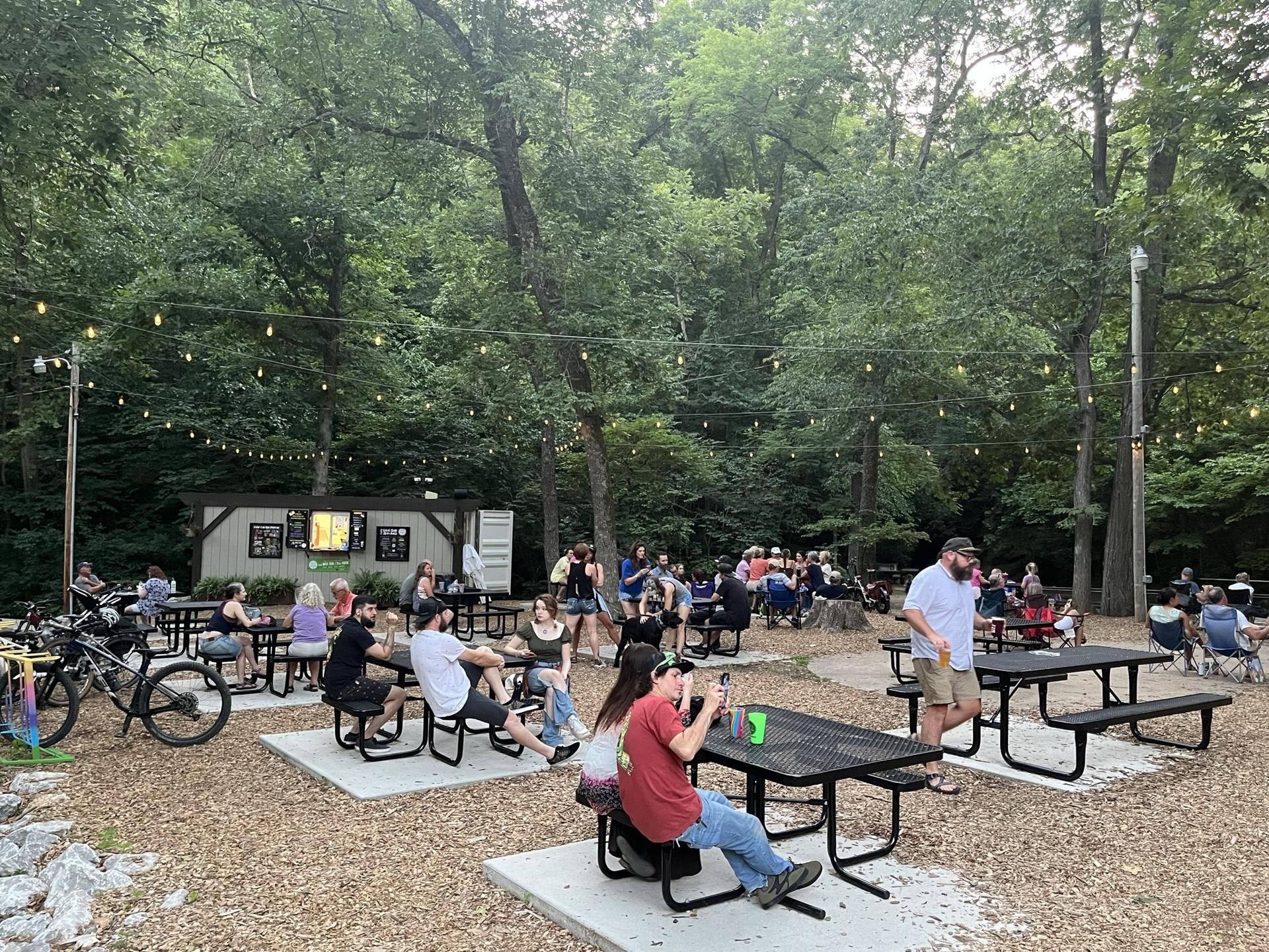 People socializing at outdoor picnic tables under string lights in woods.
