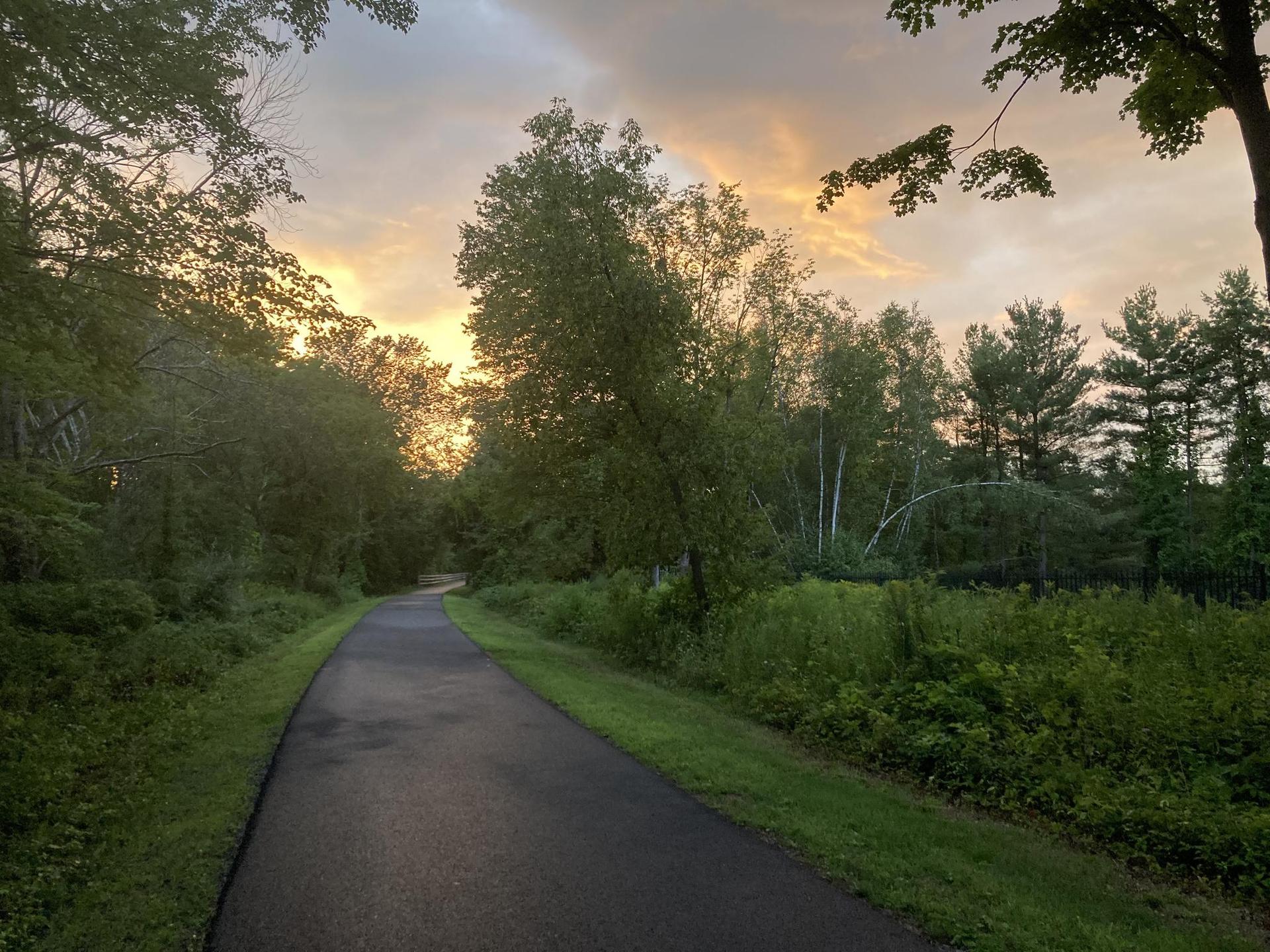 Paved path winds through a forest at sunset, with warm, cloudy skies.