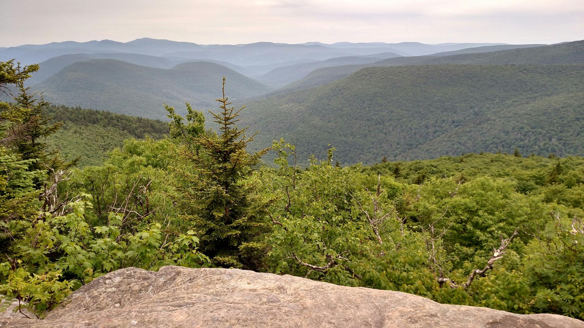 Rocky foreground overlooking a vast, hazy green mountain range under an overcast sky.