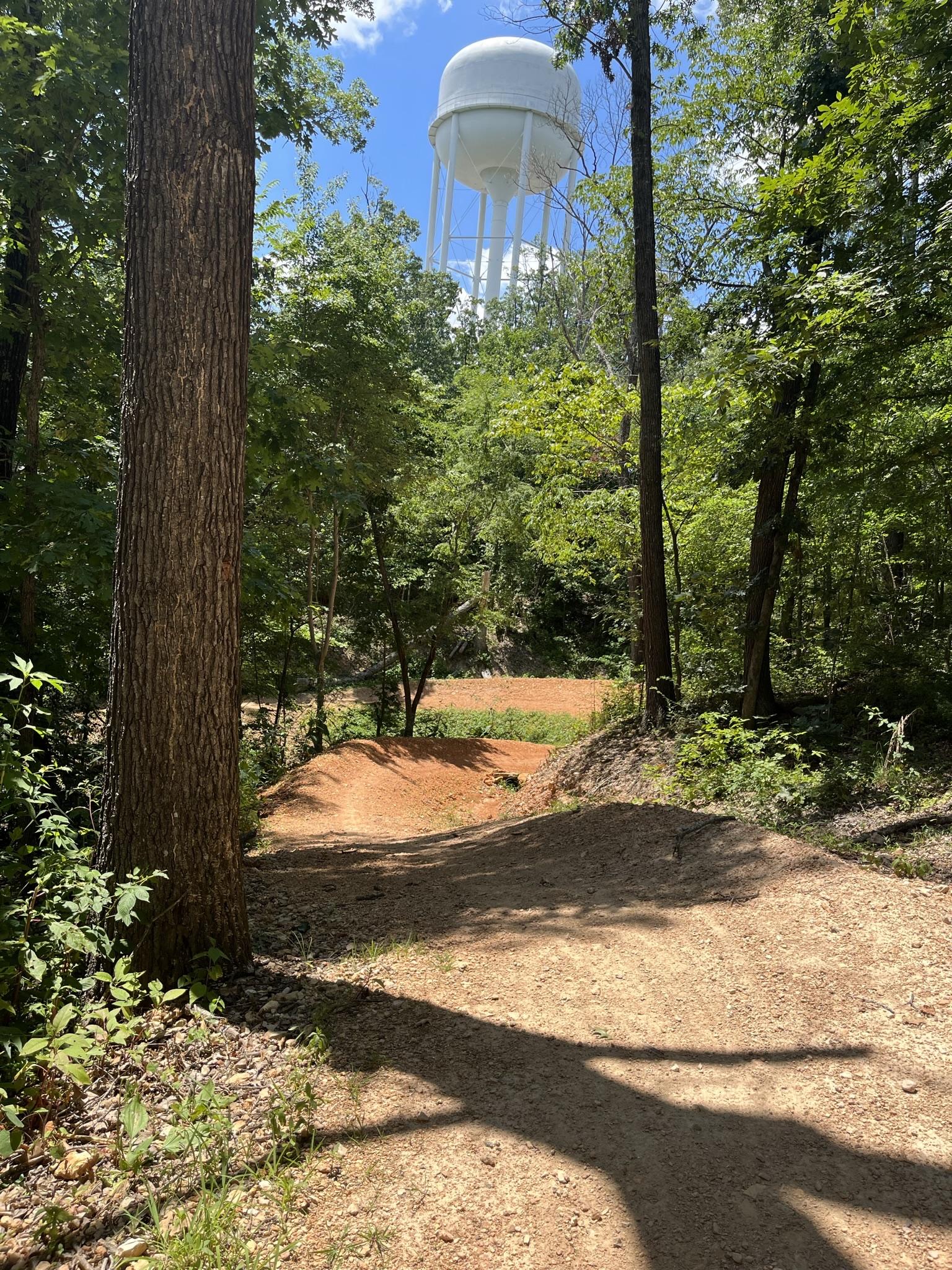 Dirt path through sunlit woods leading to a distant white water tower.