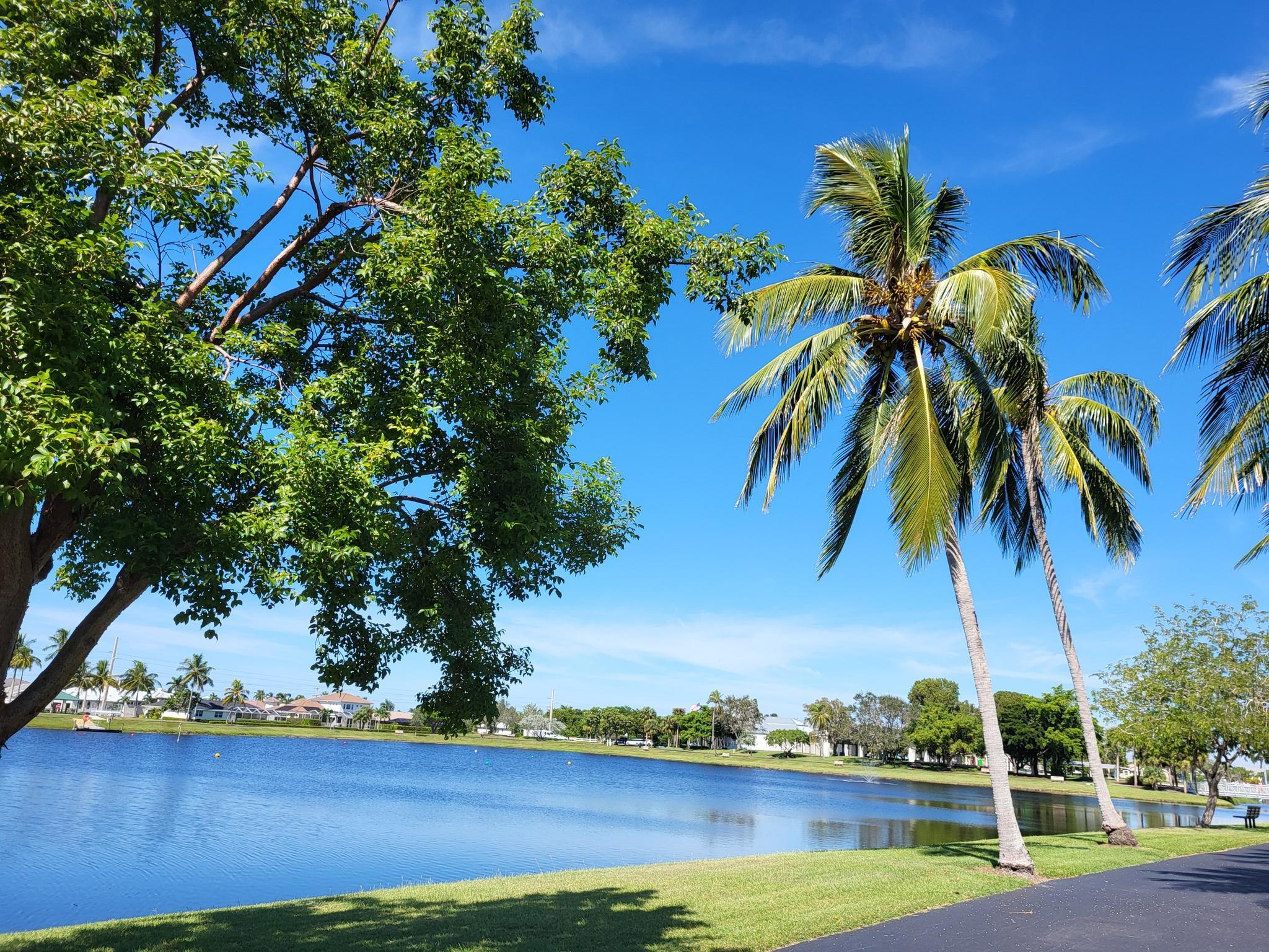 Bright sunny day over a calm lake with palm trees and green grass.