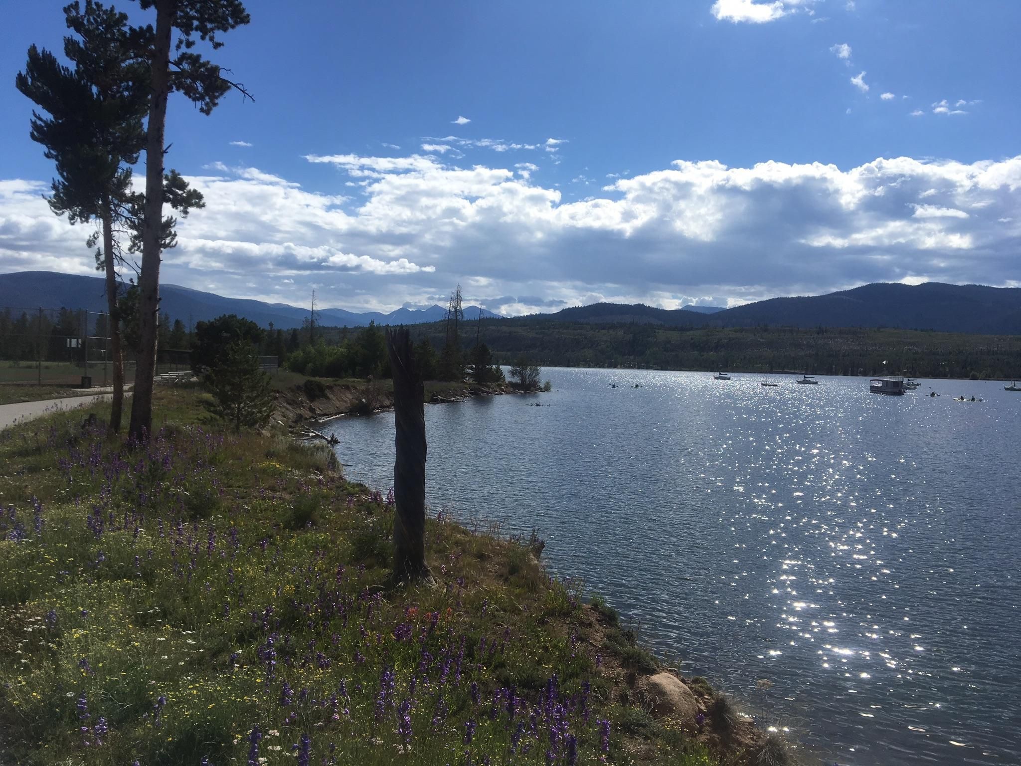 Sunny lake with boats, surrounded by trees, wildflowers, and distant mountains. - Dillon Reservoir Recpath