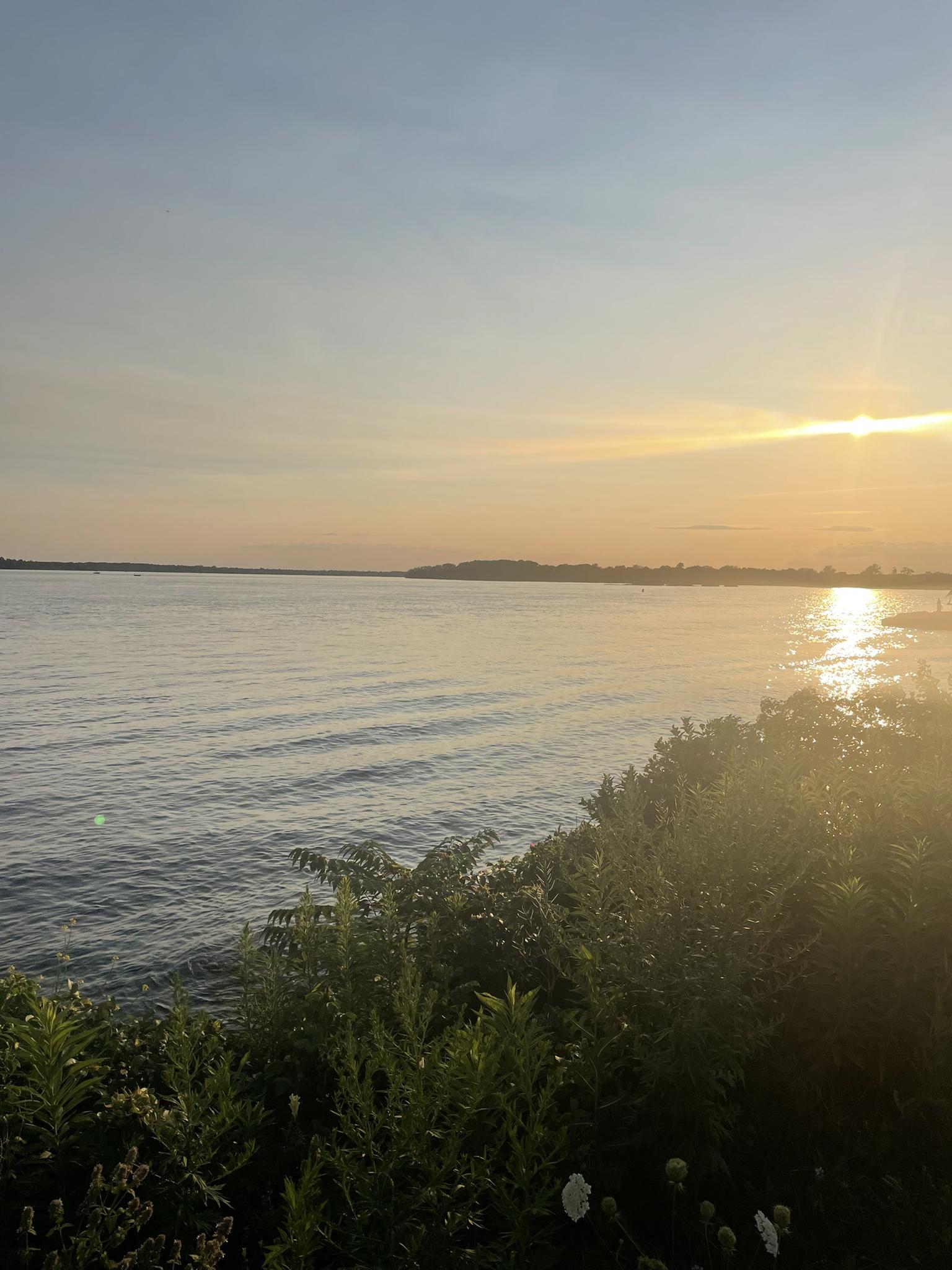 Golden sunset over a wide body of water, with green foliage in the foreground.