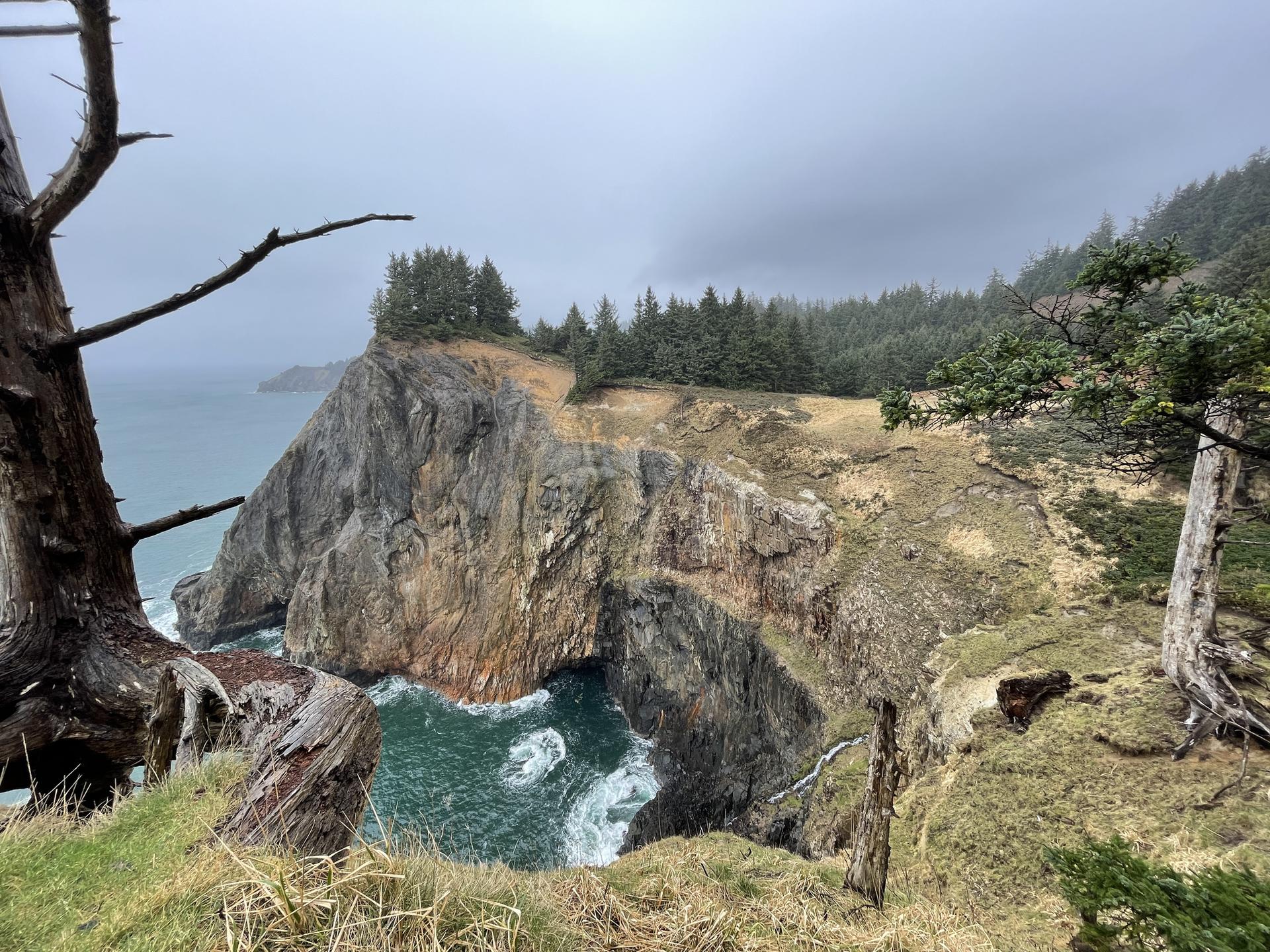 Rugged sea cliffs with crashing waves below, topped by a forested plateau.