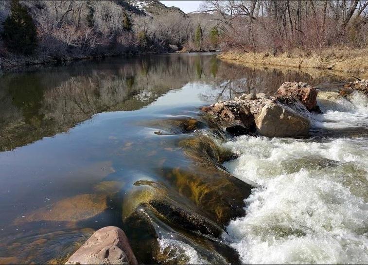 A river with calm water reflecting trees and a rocky, foamy waterfall.