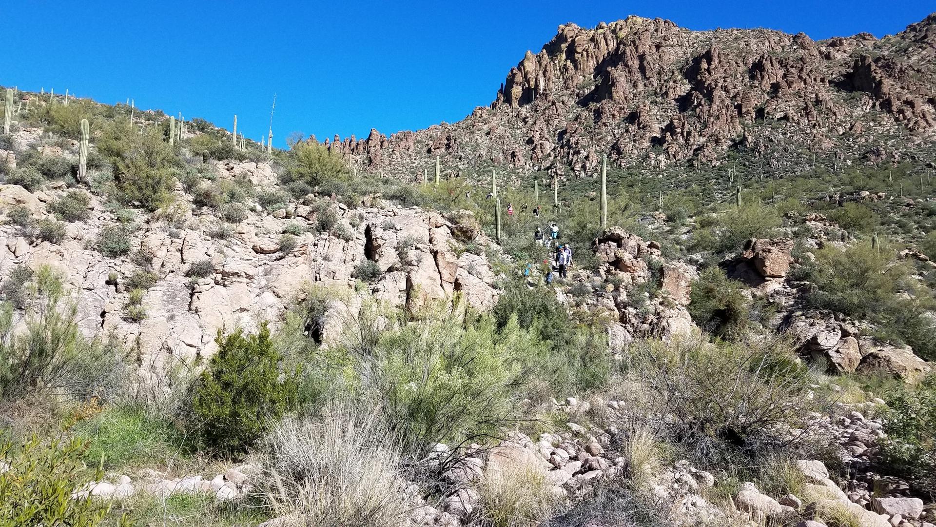 Rocky desert hillside with saguaro cacti and distant hikers under clear blue sky.